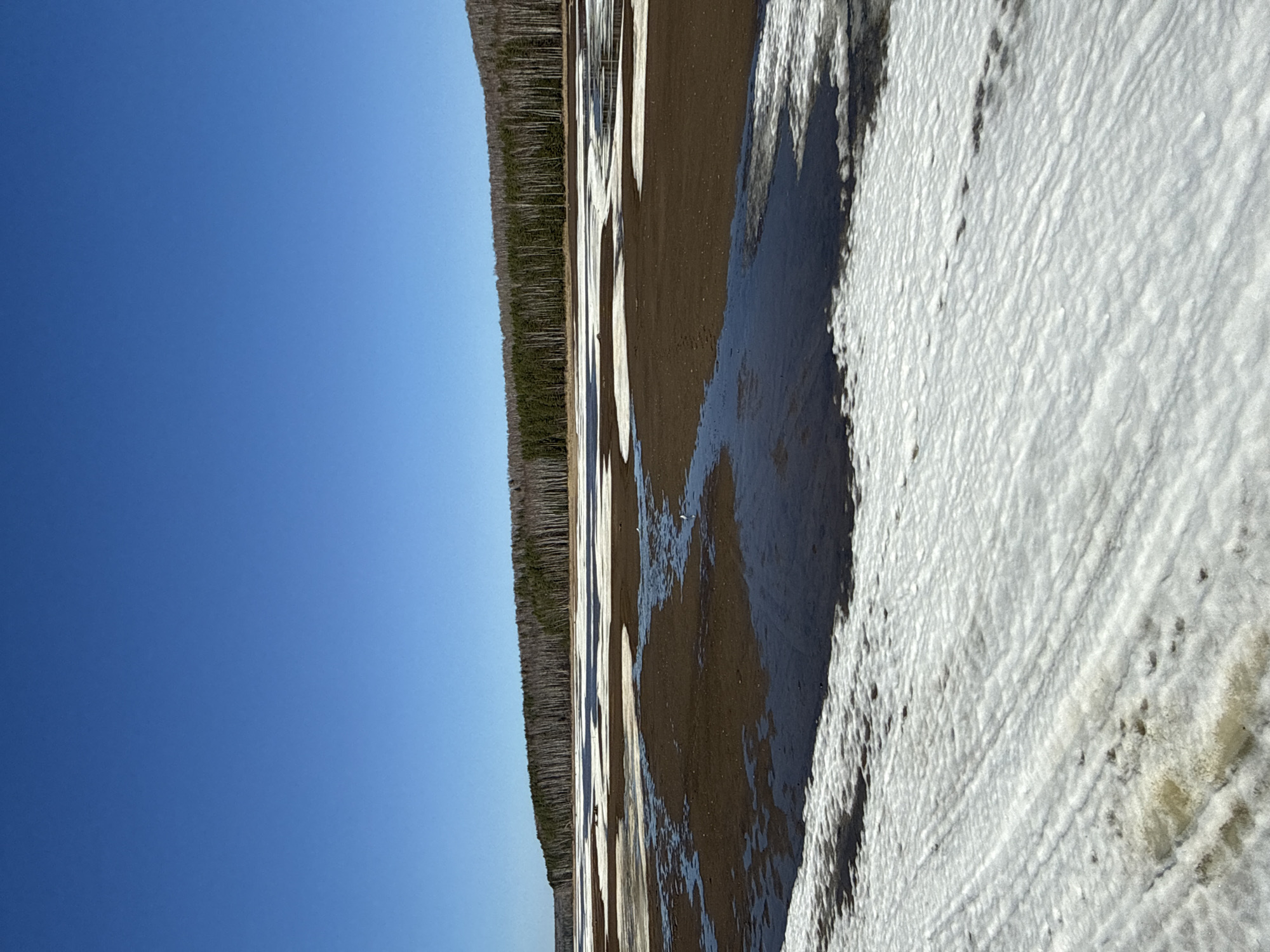 The image shows a landscape with a clear blue sky occupying the left half of the frame. Adjacent to the sky is a narrow line of trees extending towards the background. The right half of the image is dominated by a landscape of sand and patches of snow, with pools of water reflecting light. The location is likely near a body of water, possibly a shoreline, in or around the city of Chaykovsky, Russia.