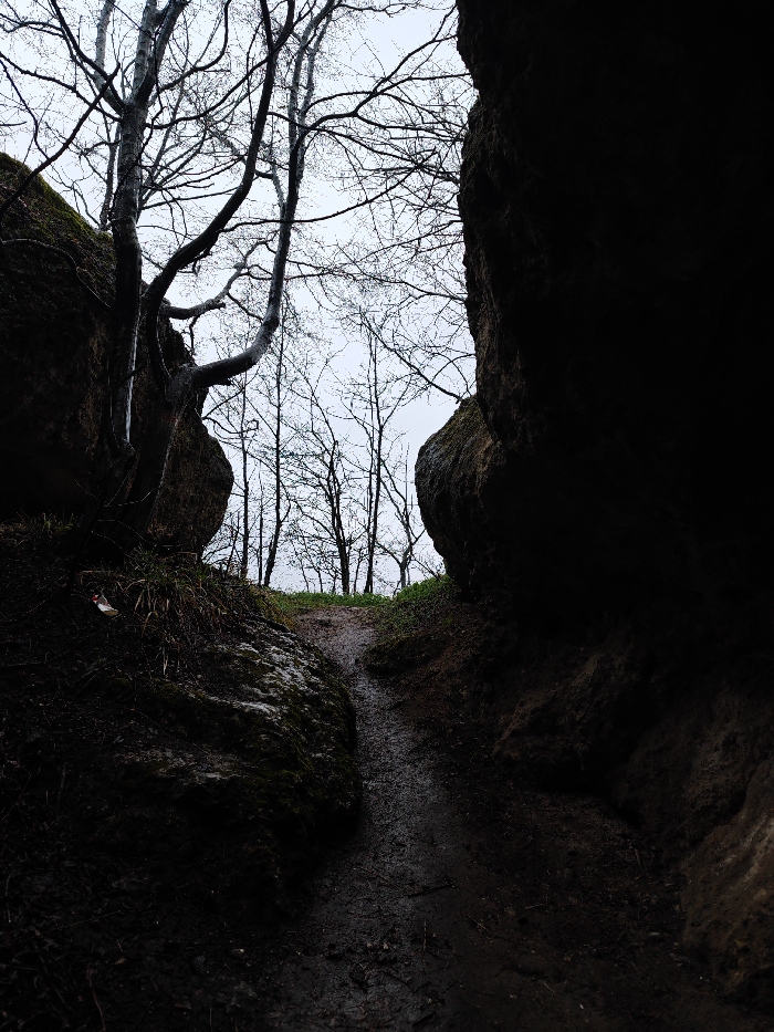The image depicts a narrow, wet dirt path ascending between two substantial rock formations in the vicinity of Shumen, Bulgaria. The path, present in the lower and mid-ground, is dark and appears muddy. On the left, a large rock face shows patches of moss and hosts a bare-branched deciduous tree with sinuous branches extending upwards. A small, crumpled item, consistent with white and red litter, is visible on the ground against the base of this left rock. The right side of the path is bordered by a deeply shadowed, dark rock face. The path terminates in the background at a slightly elevated, open area where numerous bare deciduous trees are silhouetted against a uniformly overcast, light-grey sky. No human or animal subjects are present. The environmental conditions suggest a cool, possibly damp, dormant season.