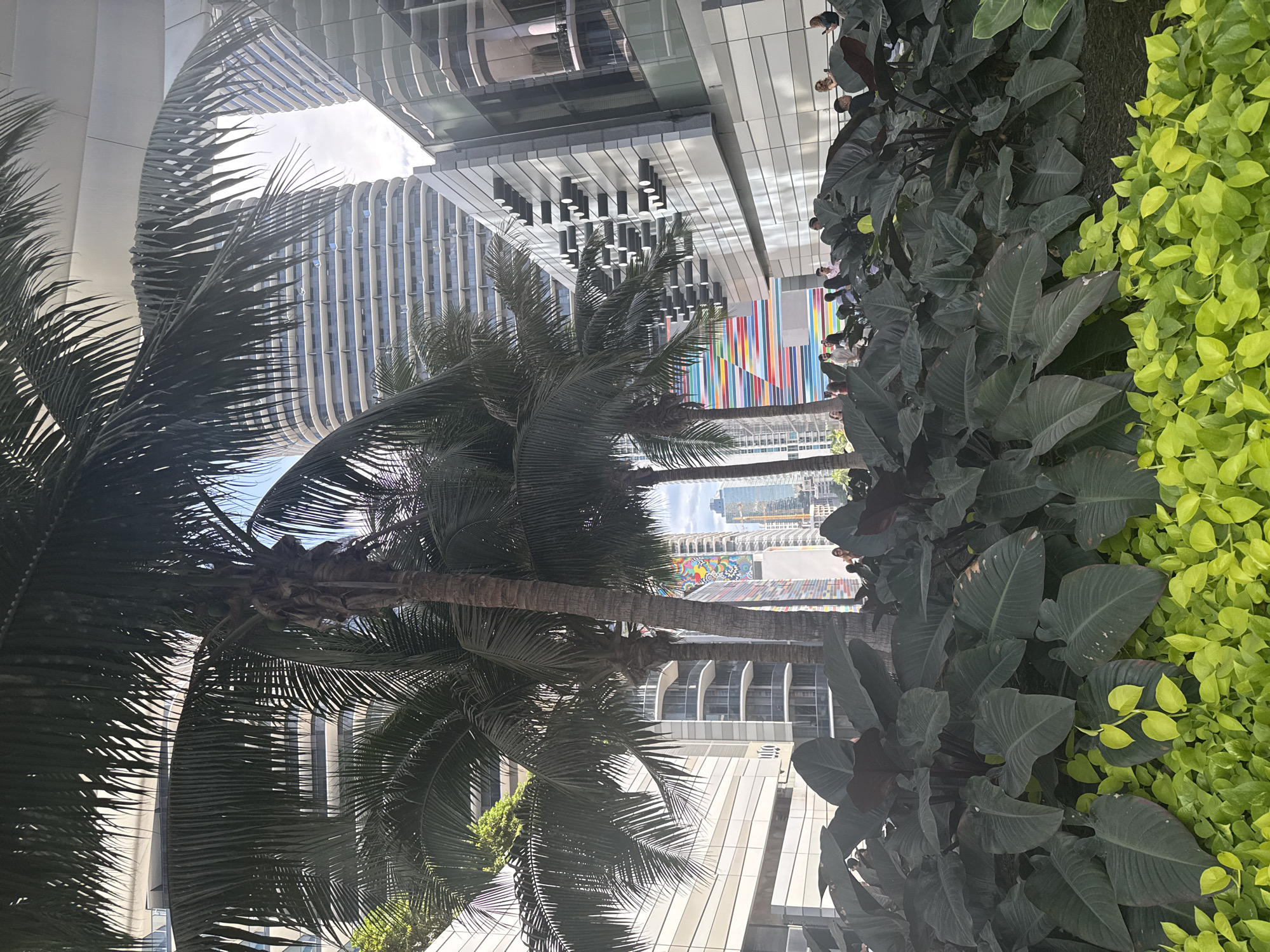 The image captures a cityscape, likely in Miami, Florida, judging by the architectural style and tropical vegetation. In the foreground are palm trees, their fronds partially obscuring the view. To the right of the frame is dense vegetation, featuring both broad-leafed plants and a section of bright green foliage.
In the background, modern buildings rise, characterized by their sleek, glass facades and contemporary designs. A notable feature is a section of a building adorned with vertical stripes of vibrant colors. People can be seen in front of the building, near the plants.