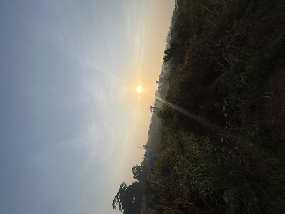 A landscape view captures the sun rising above the horizon, casting a warm, golden glow. Vegetation and trees are silhouetted against the bright sky, blurring into indistinct masses. A blue tarp-like structure is visible amidst the greenery. The sky transitions from a pale blue to a hazy, sunlit yellow, and a thin beam of light extends from the sun.