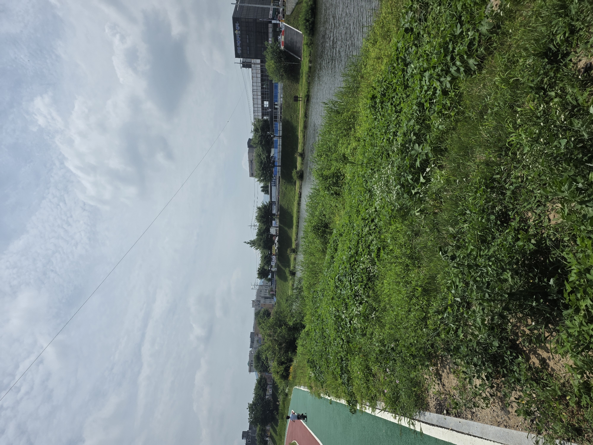 The image shows a wide, slow-moving river with a grassy bank on the right. On the left bank, there is a paved recreational path with a green and red track. A person on a scooter is riding on the green section of the path. Beyond the path, there are trees and buildings, indicating an urban or suburban environment. The sky is overcast with scattered clouds. The scene appears to be a park or recreational area along the river in Anseong-si, South Korea, likely a place for walking, cycling, and other outdoor activities.