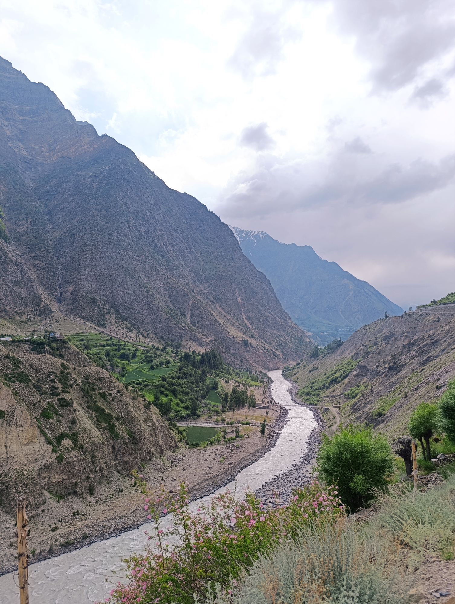 The image depicts a wide, fast-flowing river cutting through a mountainous valley. The river has a milky, greyish-brown color and is bordered by rocky shores. Steep, barren mountains with rough, textured surfaces rise on both sides of the valley. Patches of green vegetation, including trees and cultivated fields, are visible on the slopes and along the riverbanks in some areas. The sky is overcast with a mix of white and grey clouds. The foreground features a dry, rocky embankment with sparse green bushes and some pink wildflowers. The scene appears to be a natural landscape, likely in a remote or rural area.