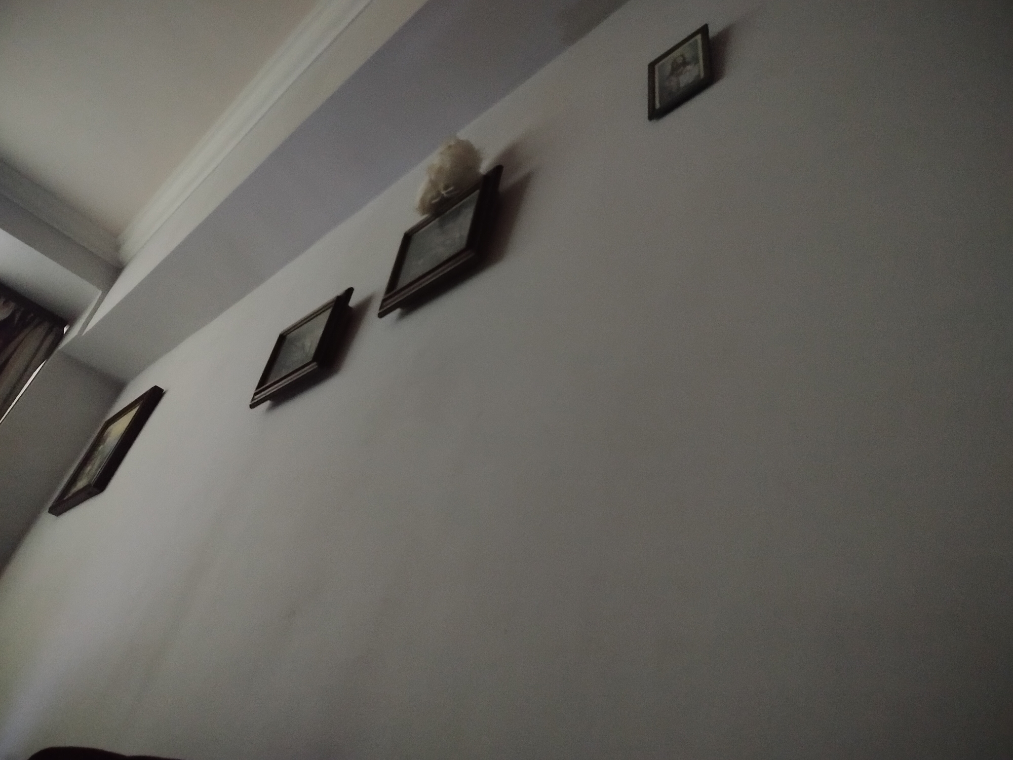 The image depicts an interior wall with four framed pictures hanging on it. The wall is painted a light color and appears to be in a room with a high ceiling. There is a white, fluffy object resting on top of the second frame from the left. The angle of the shot is from below and to the left. The specific location within Yerevan, Armenia, cannot be determined from the image. There are no people, actions, or interactions visible. The environment is a room.