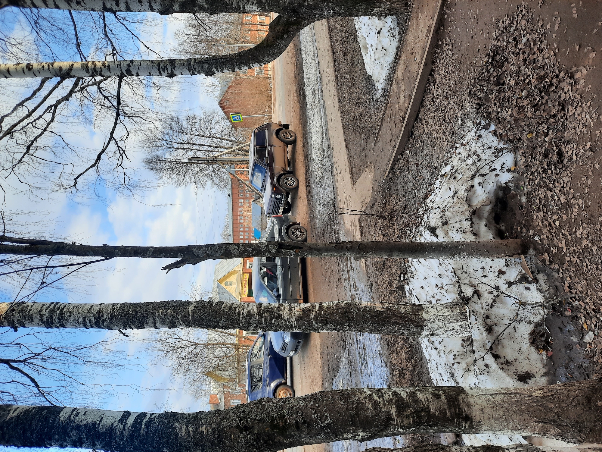 The image presents a street scene in Krasnogorskoye, Russia, framed by the trunks of birch trees in the foreground. Several cars are parked alongside a road with remnants of melting snow and patches of bare earth with fallen leaves. The sky is visible through the branches, showing a mix of blue sky and clouds. Buildings are visible in the background, including what appears to be a brick building and a yellow building. A pedestrian crossing sign is also present. The scene captures a typical transitional period between winter and spring in a Russian urban environment.