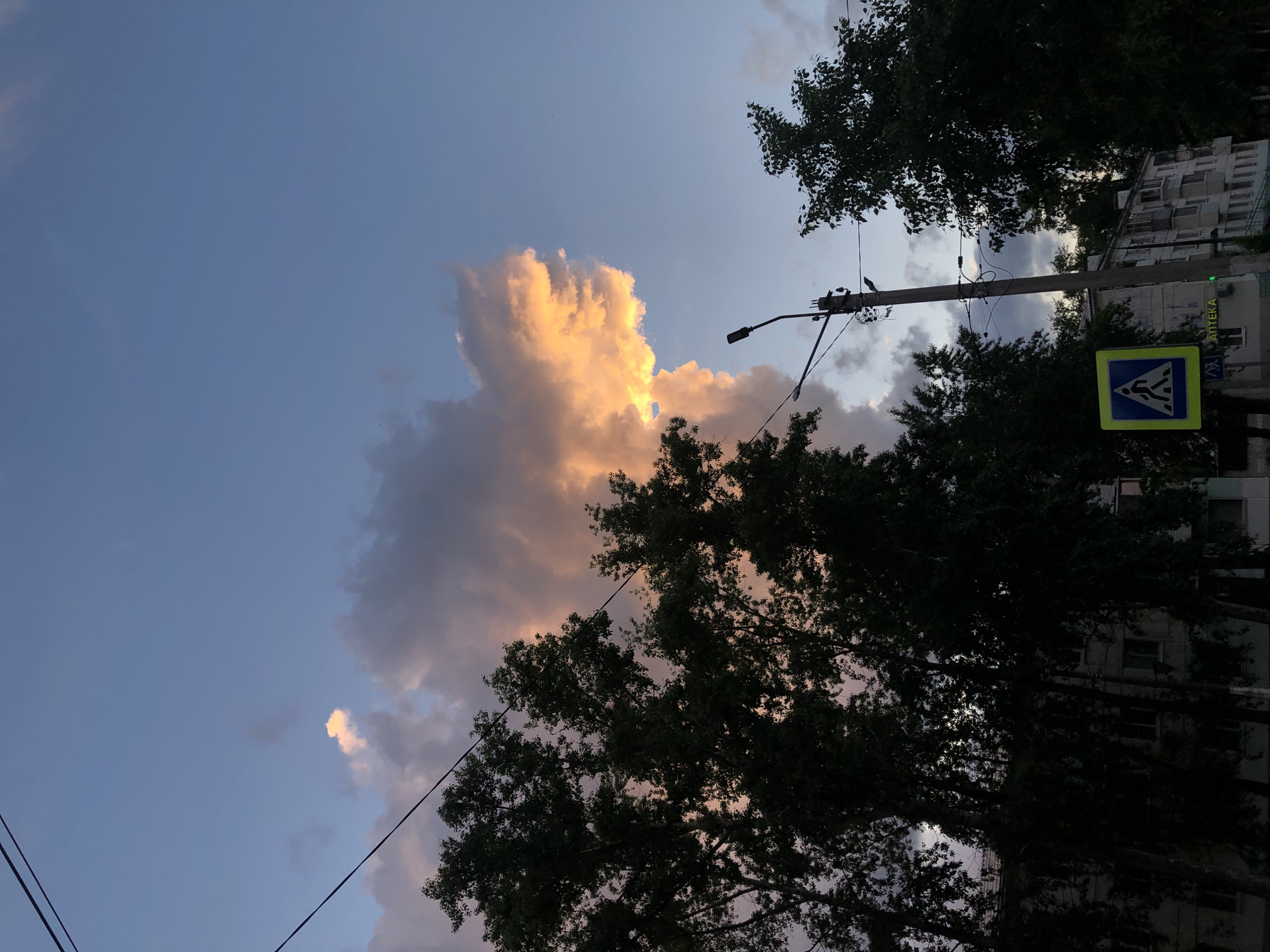 The image shows a sky at dusk in what appears to be a residential area of Chaikovsky, Russia. A large, illuminated cloud formation dominates the left side of the frame. In the foreground and to the right, trees obscure a portion of a multi-story building. A utility pole with a streetlight is visible among the trees. A pedestrian crossing sign is present on the right. The general atmosphere is calm and serene.