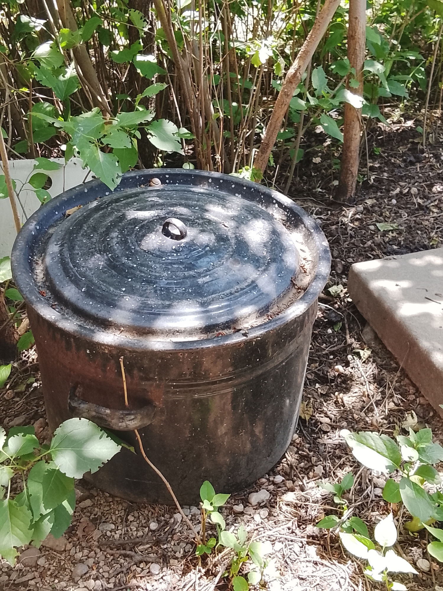 A dark, large pot with a lid sits outdoors amongst vegetation and gravel. The pot has a textured, possibly enamel surface with a handle on its side and a knob on its lid. The surrounding environment appears to be a garden or yard area with various plants, some with visible leaf damage, and a concrete slab is partially visible to the right. The scene is illuminated by sunlight, casting shadows. There are no people visible in the image. The specific location is Жалпақсай, Kazakhstan.