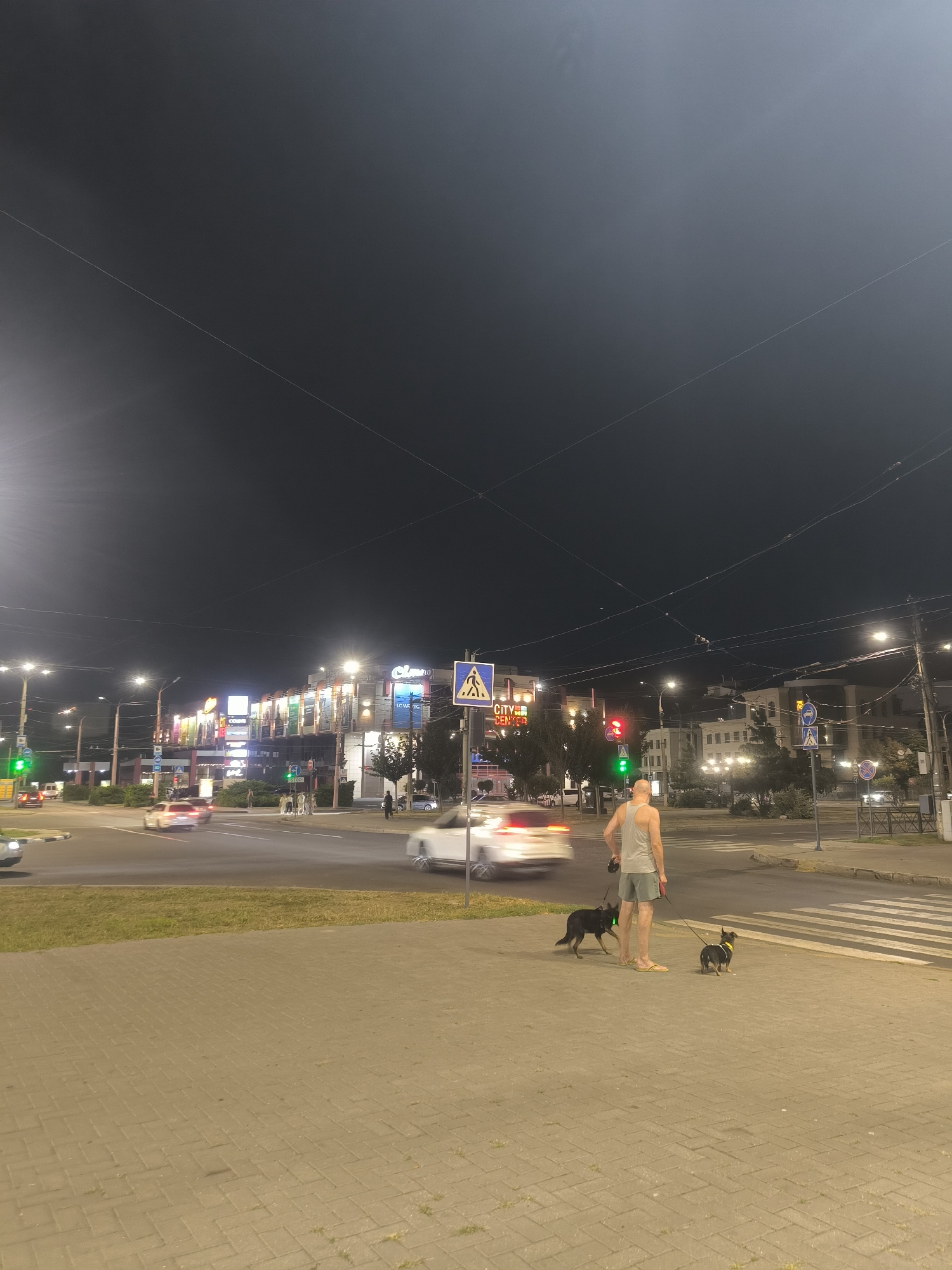At nighttime on a paved sidewalk, a bare-chested man in a grey tank top and grey shorts, wearing yellow flip-flops, is standing with two dogs. The man holds a leash connected to both dogs, one larger black dog and one smaller black and tan dog. The dogs are facing away from the man, towards a crosswalk on a multi-lane street. Cars are passing on the street. In the background, there are buildings with illuminated signs, streetlights, traffic lights, and overhead power lines. The sky is dark and overcast. This scene is taking place on Soborna Street in Mykolaiv, Ukraine, near the City Center shopping mall.