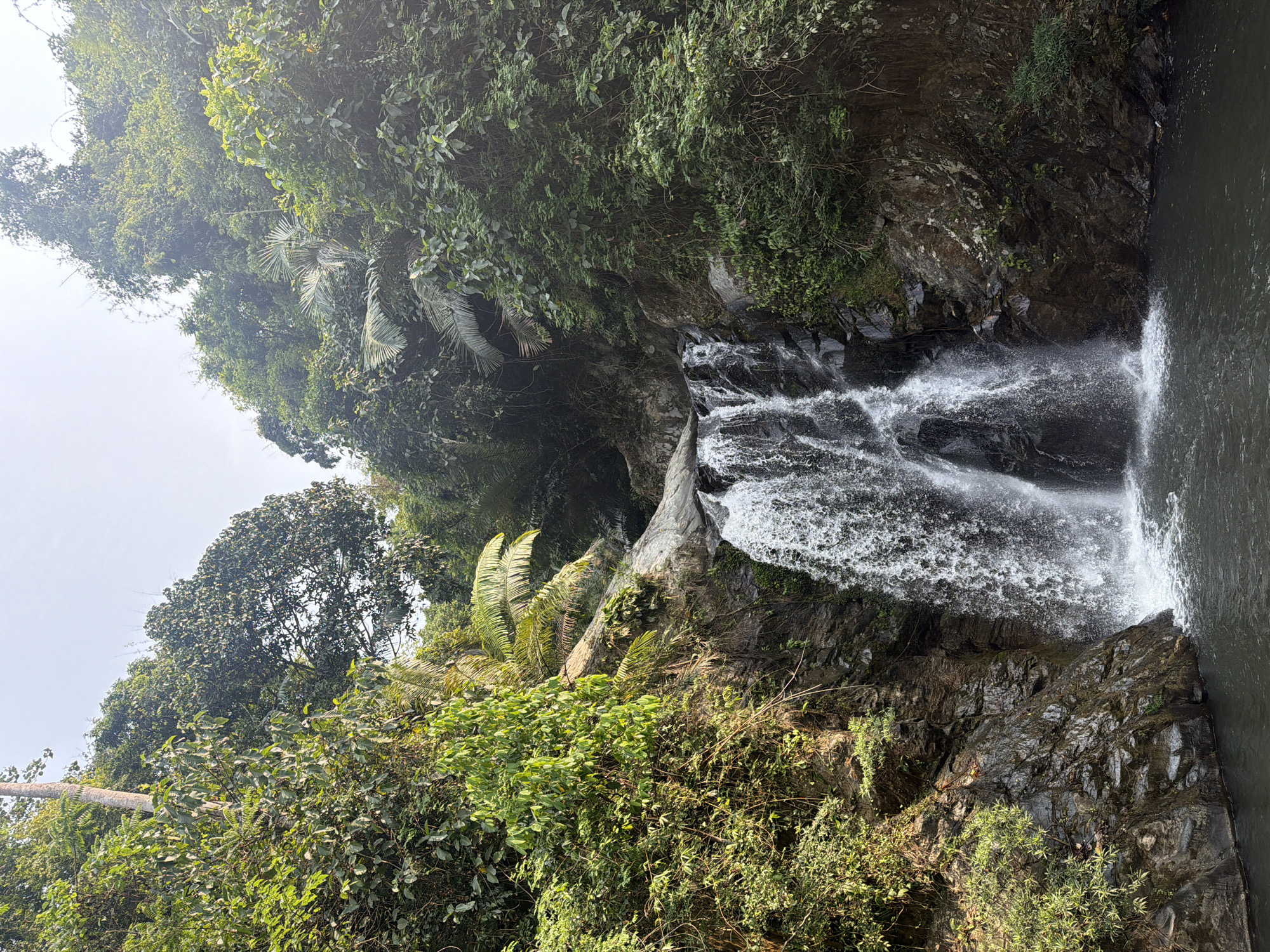 The image shows a waterfall cascading into a pool of water in a lush, green environment. The waterfall appears to be a part of a natural landscape with dense vegetation and rocky formations. The city location is Đà Nẵng, Vietnam. No people are visible in the image.