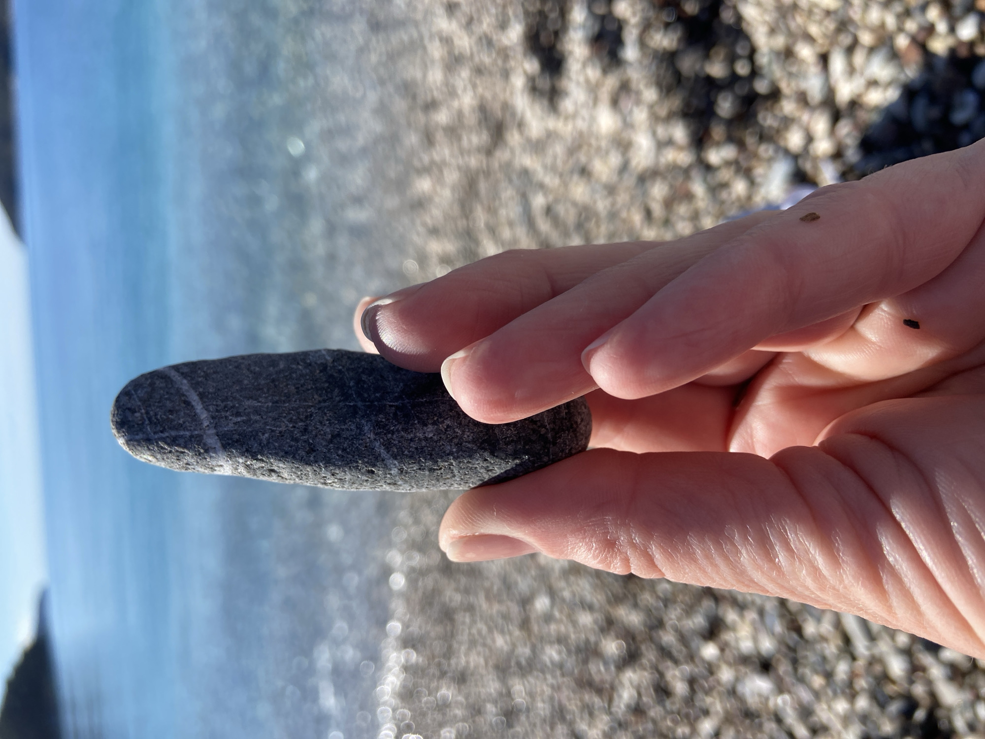 A close-up, outdoor shot depicts a hand holding a dark grey, elongated pebble with a distinct white stripe across its surface. The hand is Caucasian and appears to be sunlit. Small debris, possibly sand or small pebbles, are visible on the fingers. The background features a blurred expanse of water meeting a pebbled shoreline. The water appears light blue and shimmering, suggesting sunlight reflecting off the surface. The pebbled shoreline is out of focus, creating a bokeh effect. While the image provides elements consistent with a beach scene, the precise location in Budva, Montenegro, cannot be confirmed based solely on the visual information provided.
