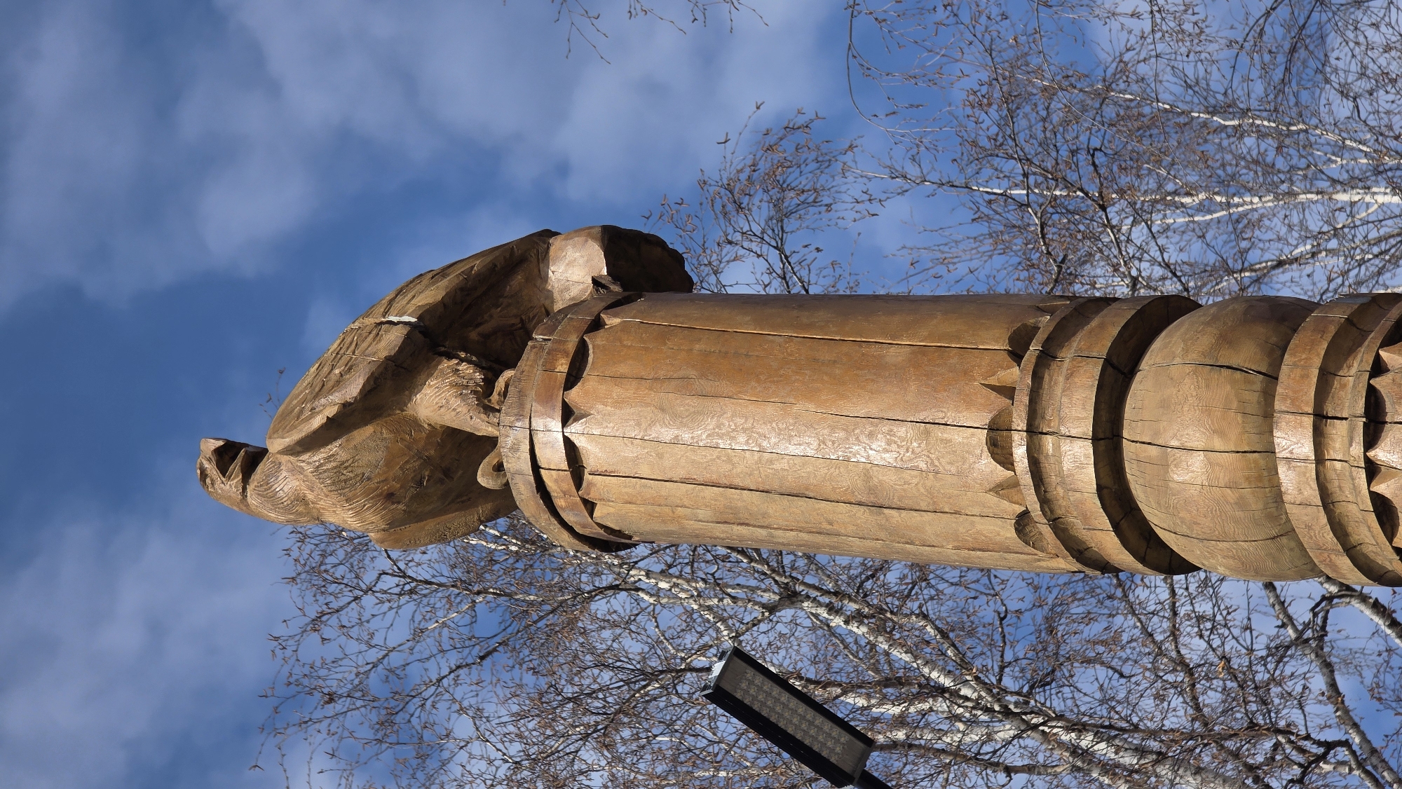 This low-angle shot captures a wooden totem pole under a bright sky with sparse clouds in Lensk, Russia. The pole is carved with decorative elements, with a depiction of an animal head, possibly a turtle, topping the pole. Bare tree branches fill the background, intertwining with the sky. Additionally, a modern LED street lamp is visible among the tree branches.