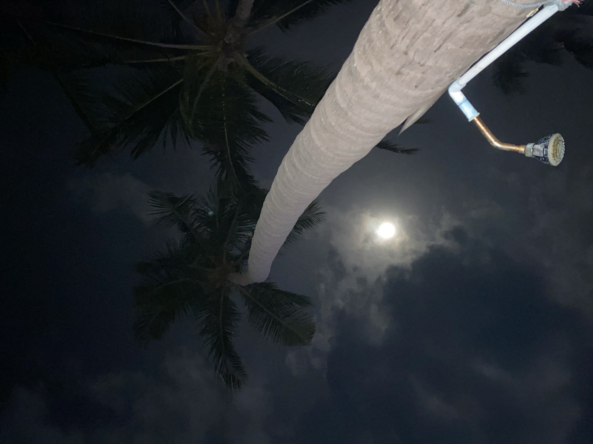 The image is a low-angle shot taken at night, likely in Ban Haad Rin, Thailand. Two coconut palm trees are the dominant feature, their fronds spread out against the dark sky. One of the palm tree trunks is prominently featured, appearing lighter in color due to either artificial lighting or moonlight. A homemade shower apparatus is attached to the palm tree, consisting of white and blue PVC piping connected to a tarnished showerhead. The full moon is visible, partially obscured by clouds, providing a diffused light source in the background. The overall environment is dark and suggestive of a tropical nighttime setting.