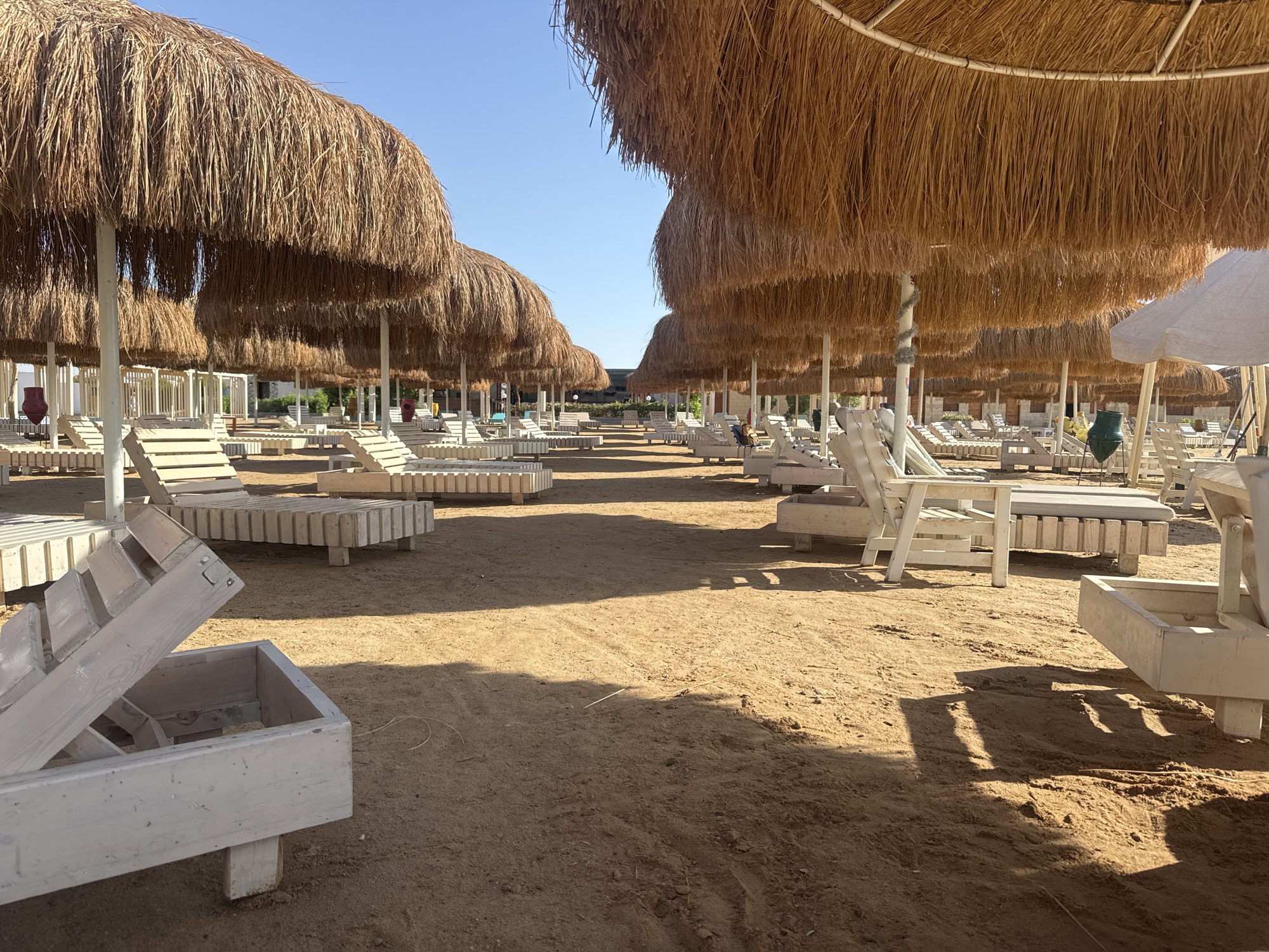The image depicts a beach scene in an unknown city. The foreground is dominated by sand, with numerous white wooden beach chairs and sunbeds arranged in rows. Above the chairs, there are large thatched umbrellas that provide shade. In the background, more chairs and umbrellas extend into the distance. The sky is clear and blue, suggesting a sunny day. There are no people visible in the scene.