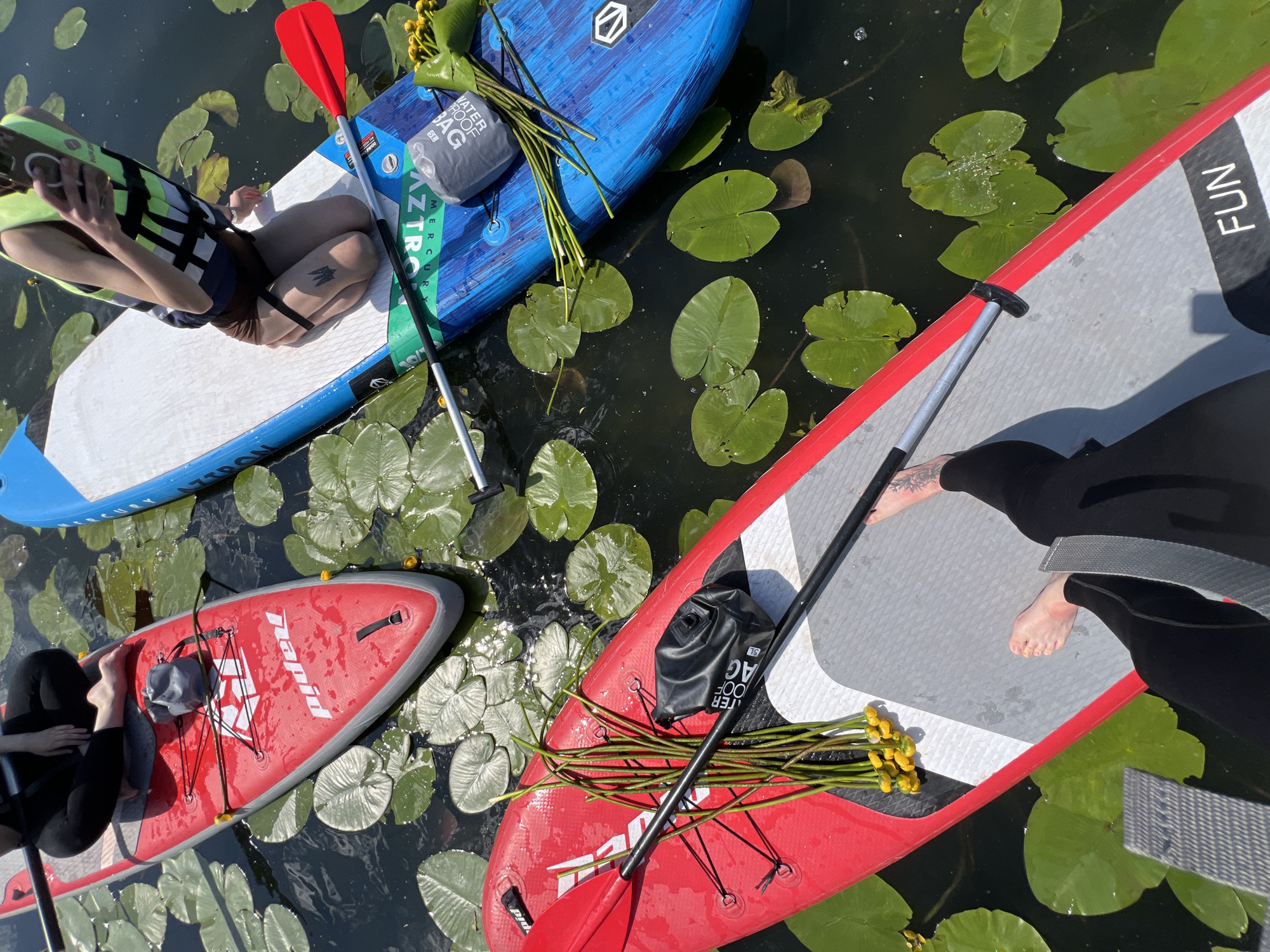 Three paddleboards are on the water, surrounded by lily pads. The closest paddleboard is red and grey, with a person's legs and feet visible on it. This person is wearing black leggings and has tattoos on their feet. A paddle and a bouquet of yellow flowers with green stems are also on this board, along with a black dry bag. Another paddleboard, predominantly blue, is next to it, with a person kneeling on it. This person is wearing a brown top, shorts, and a life jacket, and is holding a phone. A grey dry bag is on this board as well. A third paddleboard, mostly red with grey accents, is partially visible in the background. The water is dark and reflects the sunlight. The scene appears to be a leisure activity taking place on a calm body of water. No specific landmarks are visible to confirm the location in Bila, Ukraine.