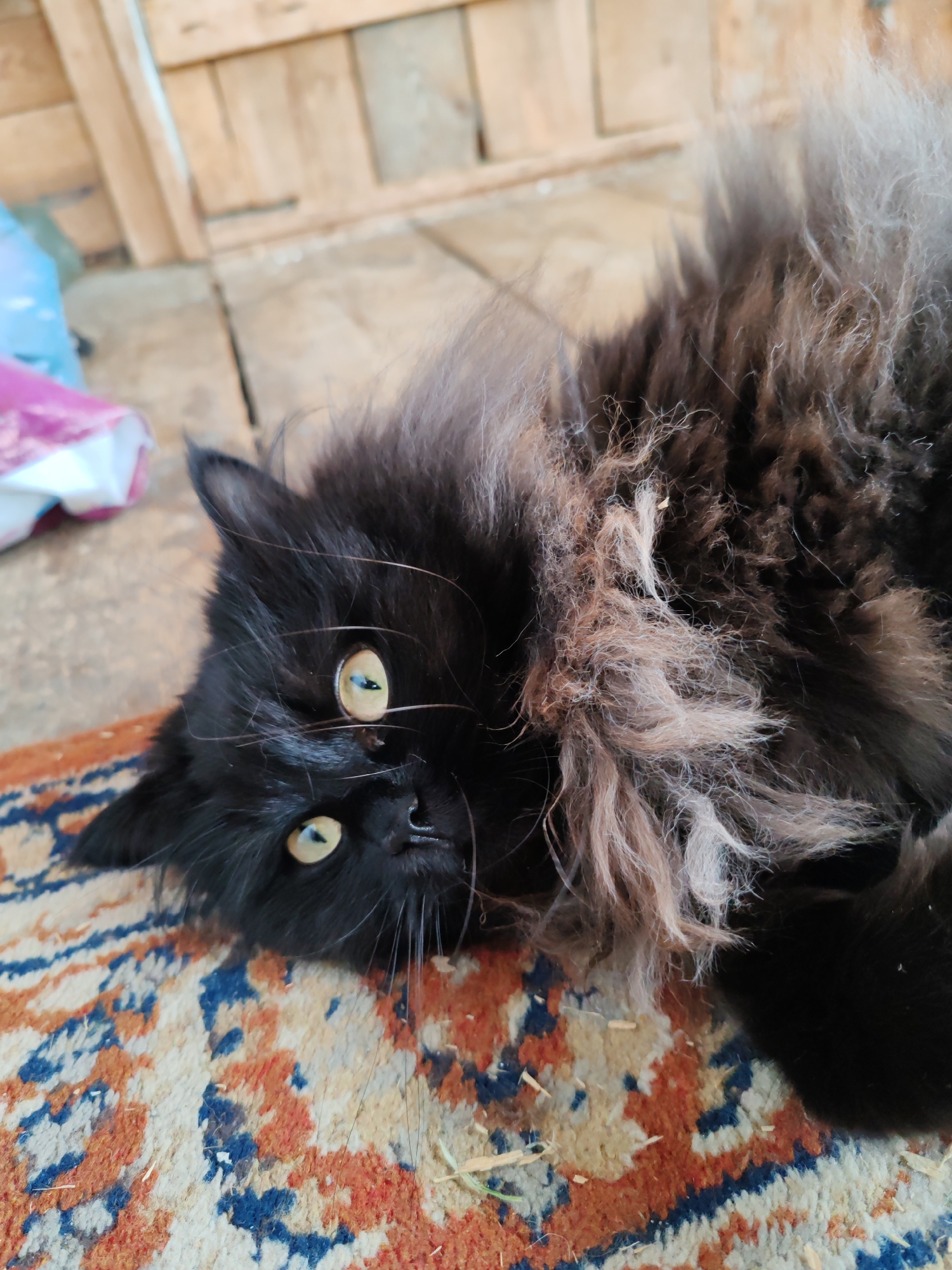 A black, long-haired cat with yellow eyes lies on its back on an orange, blue, and white patterned rug. The cat's fur is fluffy, especially around its neck and shoulders, with some lighter gray strands interspersed with black. Its eyes are wide open, looking upwards. To the left of the cat, partially visible, is a light blue and pink object that appears to be a plastic bag. The background consists of wooden planks, suggesting an outdoor or rustic setting. This scene is likely located in Чухлэм, Russia, given the context.