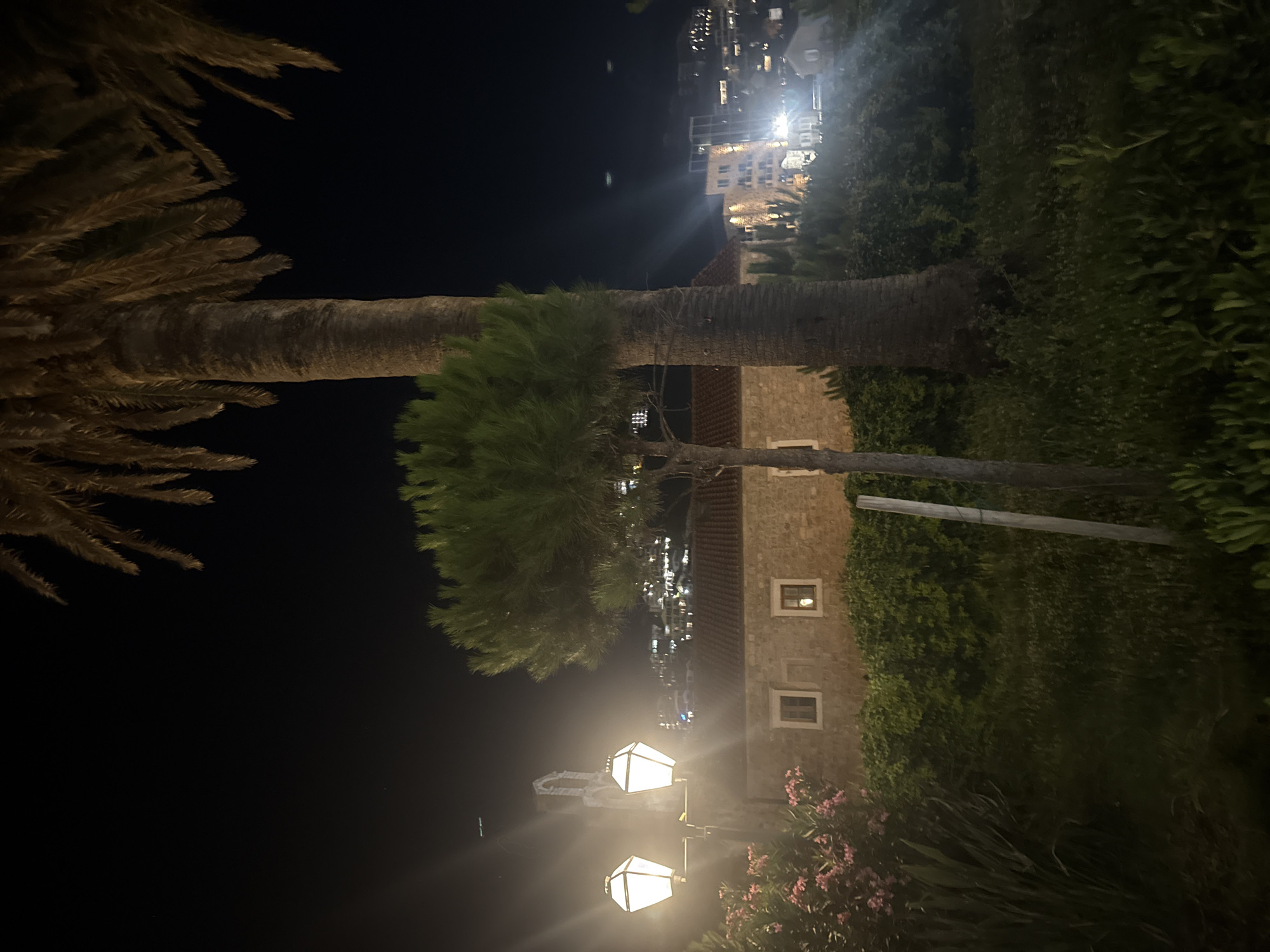 The image depicts a nighttime scene in Budva, Montenegro, likely near the Old Town or a similar historic area. In the foreground, a traditional stone building with a red-tiled roof is visible, featuring two small rectangular windows. To the left of the building, a vintage-style lamppost with two illuminating globes casts a warm light. Adjacent to the lamppost and in front of the building, lush green foliage and delicate pink flowers add a touch of natural beauty to the scene.
Dominating the midground is a large palm tree with a textured, fibrous trunk, its fronds reaching towards the dark sky. A smaller, slender evergreen tree stands in front of the palm tree. Behind the stone building, a dense hedge of green leaves creates a natural barrier.
In the background, the cityscape of Budva unfolds. Numerous buildings with illuminated windows are scattered across a hillside, indicating an urban environment. The lights create a bokeh effect, suggesting a slight haze or distance. The overall atmosphere is tranquil and dimly lit, characteristic of a quiet evening in a Mediterranean town. No people are present in the image.