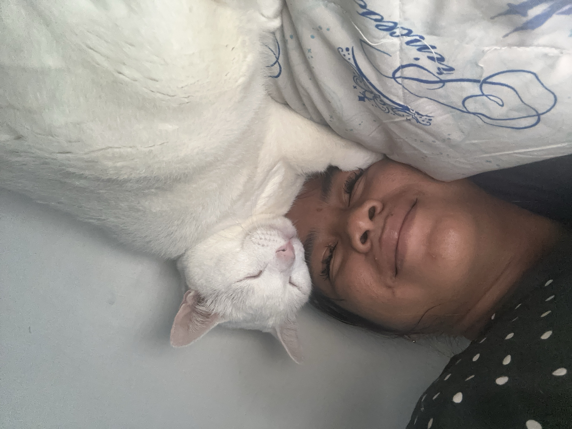 A person is lying on their back, eyes closed, with a white cat snuggled up next to their face, also with its eyes closed. A pillow with blue designs is above the person's head. The person is wearing a black shirt with white polka dots. The background appears to be a light grey or blue surface. The location is unknown but can be said to be in the city of North Jakarta, Indonesia.