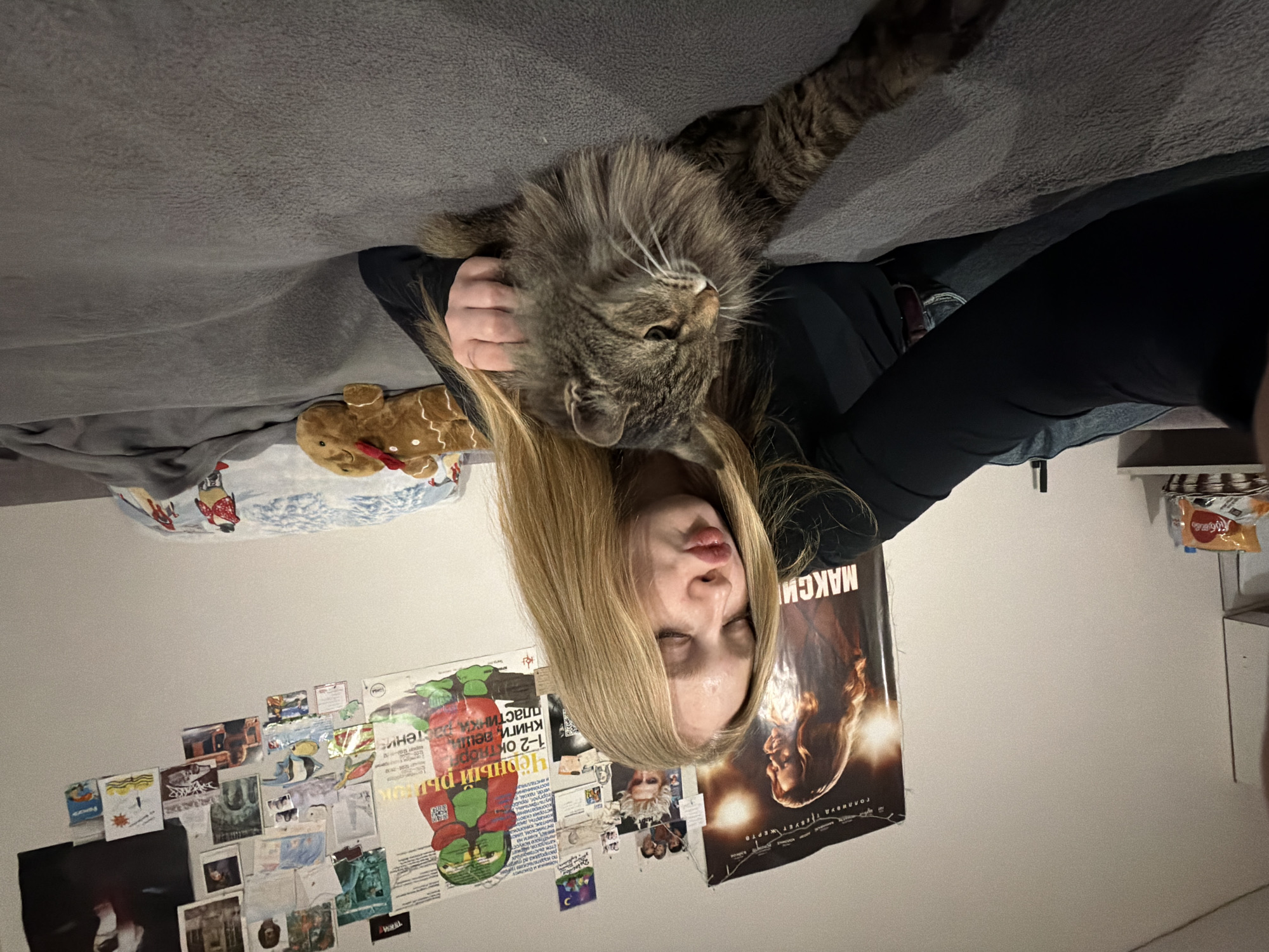 A sideways indoor shot depicts a young fair-skinned person with long blonde hair lying on their back, with a tabby cat resting on their head and chest. The person is wearing a black long-sleeved shirt and jeans. The cat extends one paw forward, and is being held by the person's hand.
Behind the person is a white wall covered with various images and posters. A poster with Russian writing, "МАКСИ," is visible. A bed with a gray blanket and a patterned pillow is next to the person. A gingerbread man doll is on the bed. A shelf is visible on the right with a bag of chips on it. The image was possibly taken in Засечное, Russia, due to the Russian text on the poster.