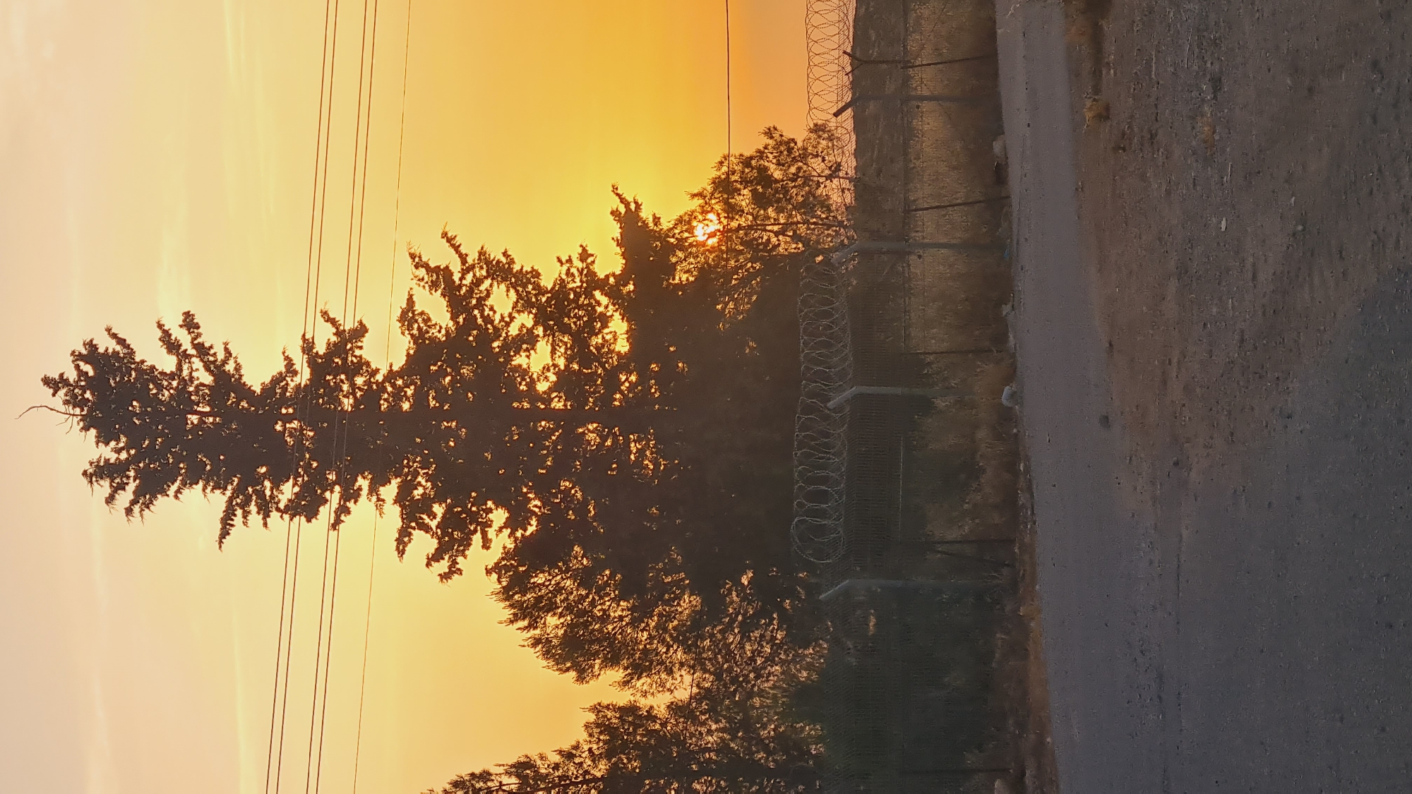 A partially obscured sunset silhouettes trees and a fence topped with barbed wire alongside a road. Power lines traverse the upper left of the frame. The location is near Lachish Regional Council, Israel.