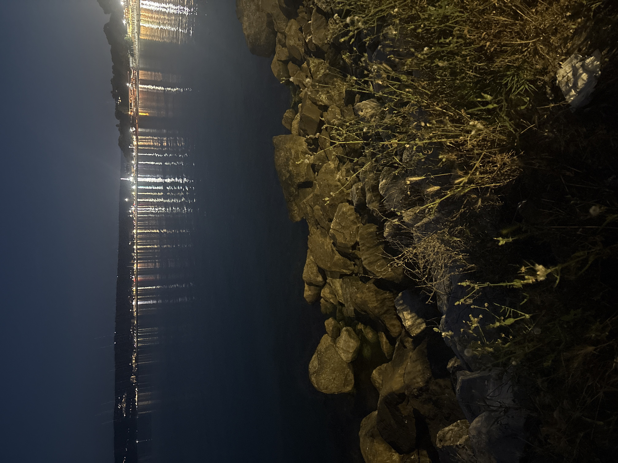 An exterior, night-time, medium-shot captures a body of water in the foreground, with a city lit up on the horizon. The water is dark, reflecting the lights of the city. Large, rough stones and some sparse vegetation line the near shore in the foreground. The distant city stretches along the coastline, marked by a continuous band of lights from buildings and possibly streetlamps. The sky above is dark and clear.