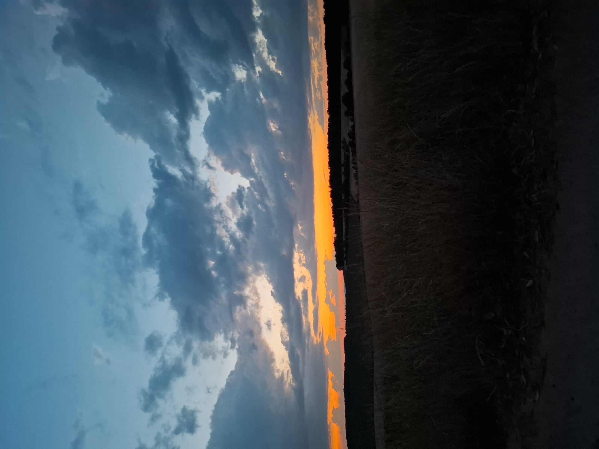This is a photograph of a rural landscape in Kirchardt, Germany, at dusk. The sky is filled with dark, dramatic clouds tinged with orange and yellow from the setting sun. Below the sky, a dark tree line stretches across the horizon, with hints of fields and vegetation visible in the dim light. The foreground is dominated by tall, dry grass and a dirt path, silhouetted against the fading light. The scene is tranquil and evokes a sense of the end of a day in the countryside.