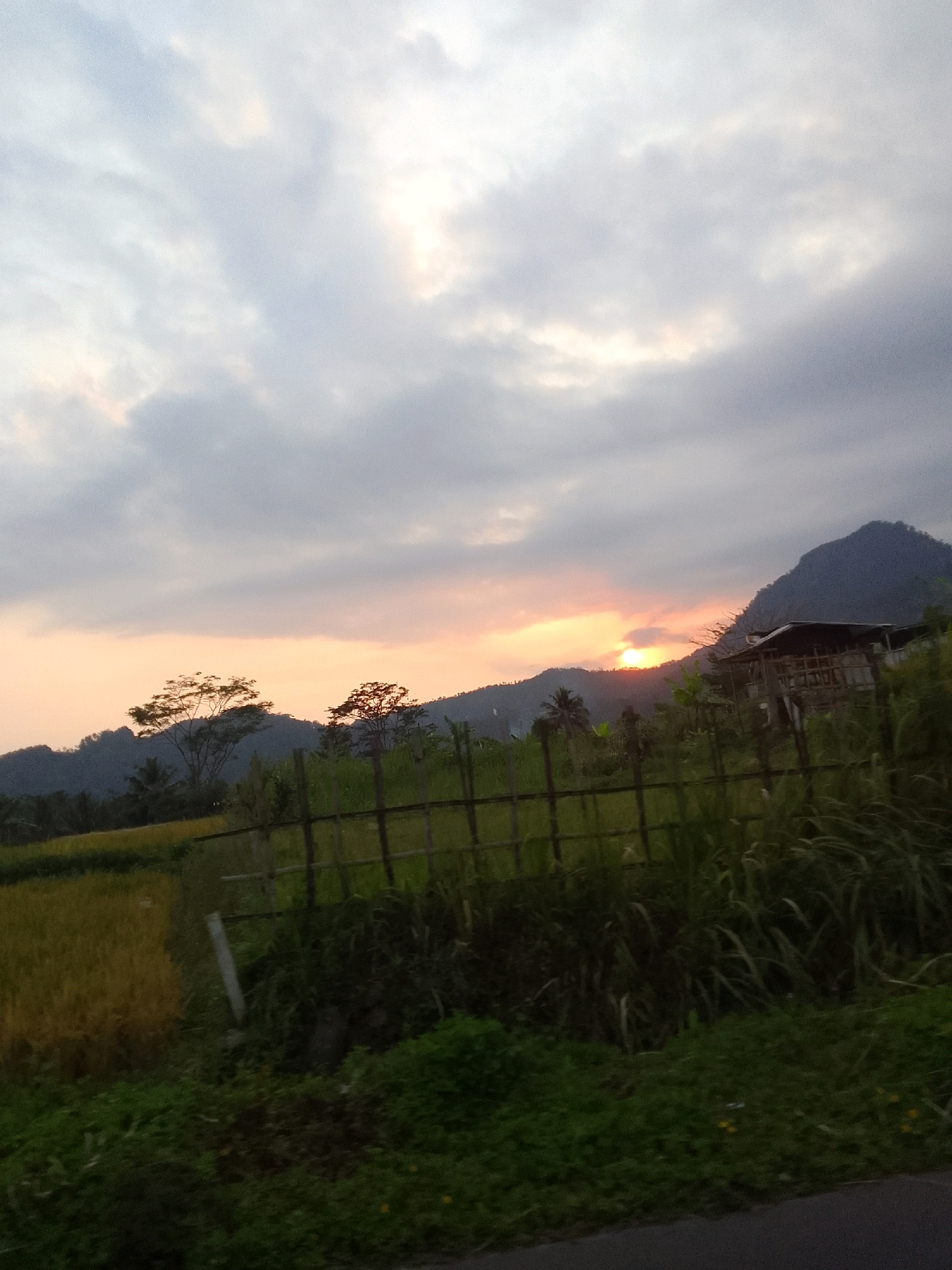 A rural landscape scene at dusk, with a vibrant sunset painting the sky. The sun, a bright orange orb, is partially obscured by clouds and hills. Rolling hills, covered in vegetation, dominate the background, with a steep mountainside on the right. In the mid-ground, a traditional wooden structure, possibly a house or barn, is visible on the slope of the mountain. In the foreground, a fence made of bamboo and wood separates a field of golden-yellow crops, likely rice paddies, from lush green grass and vegetation. The sky is filled with a mixture of dark gray clouds and patches of bright, illuminated sky, indicating the sun's intense light breaking through. The image appears to capture the natural beauty of Karangmangu, Indonesia, a location known for its agricultural landscapes and scenic views.