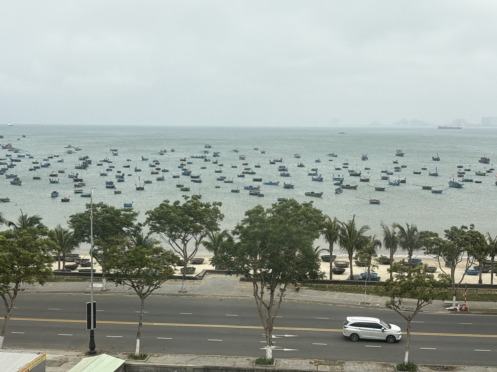 The photograph depicts a coastal scene in Đà Nẵng, Vietnam. The view, likely taken from an elevated position, shows a large body of water filled with numerous small fishing boats. In the foreground, a multi-lane road runs parallel to the coast, with a white SUV visible driving on it. Between the road and the beach, there is a narrow strip of land with trees, including palm trees, and what appear to be small round fishing boats arranged on the beach. The sky is overcast. The overall impression is of a bustling coastal city with a strong fishing industry.