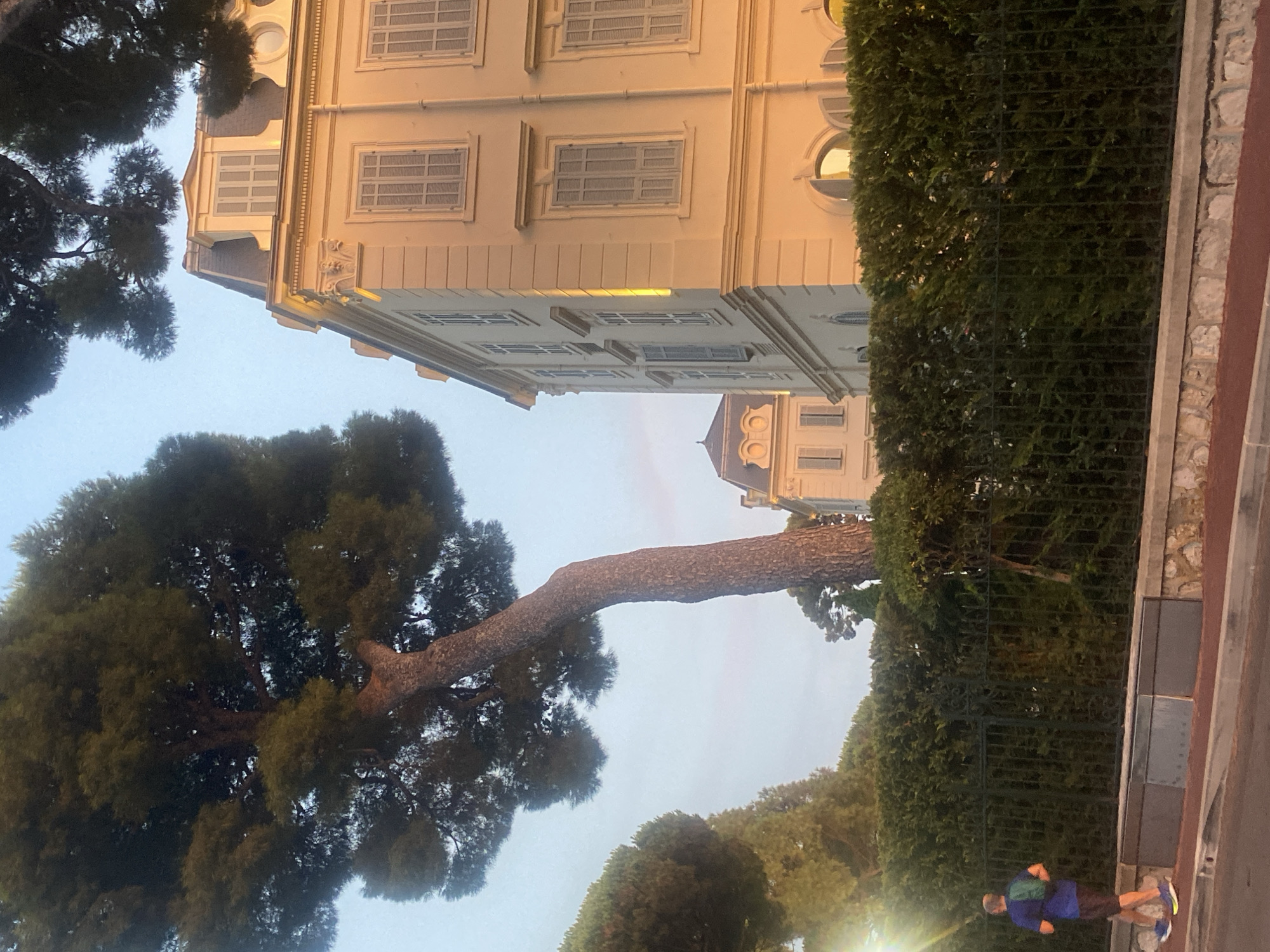 The image depicts a serene street scene in Antibes, France, bathed in the warm glow of late afternoon sun. A man, wearing a blue t-shirt and dark shorts with a green backpack, jogs along a paved sidewalk. He is positioned on the left side of the frame, moving away from the viewer. Behind him, a dense green hedge runs along the property line, bordered by a black metal fence.
The backdrop features elegant European-style architecture. To the right, a light yellow building with a mansard roof and shuttered windows stands prominently. The building's facade is illuminated by the golden hour light, highlighting its classical details. Further in the background, another similar building is visible, also featuring a mansard roof and dormer windows.
Dominating the left side of the image is a large, mature pine tree with a thick, curved trunk and a dense canopy of dark green needles. The tree's branches extend over the scene, partially obscuring the sky, which is a pale, clear blue with a hint of warmth. The overall atmosphere is tranquil, suggesting a peaceful moment in a well-maintained urban environment.