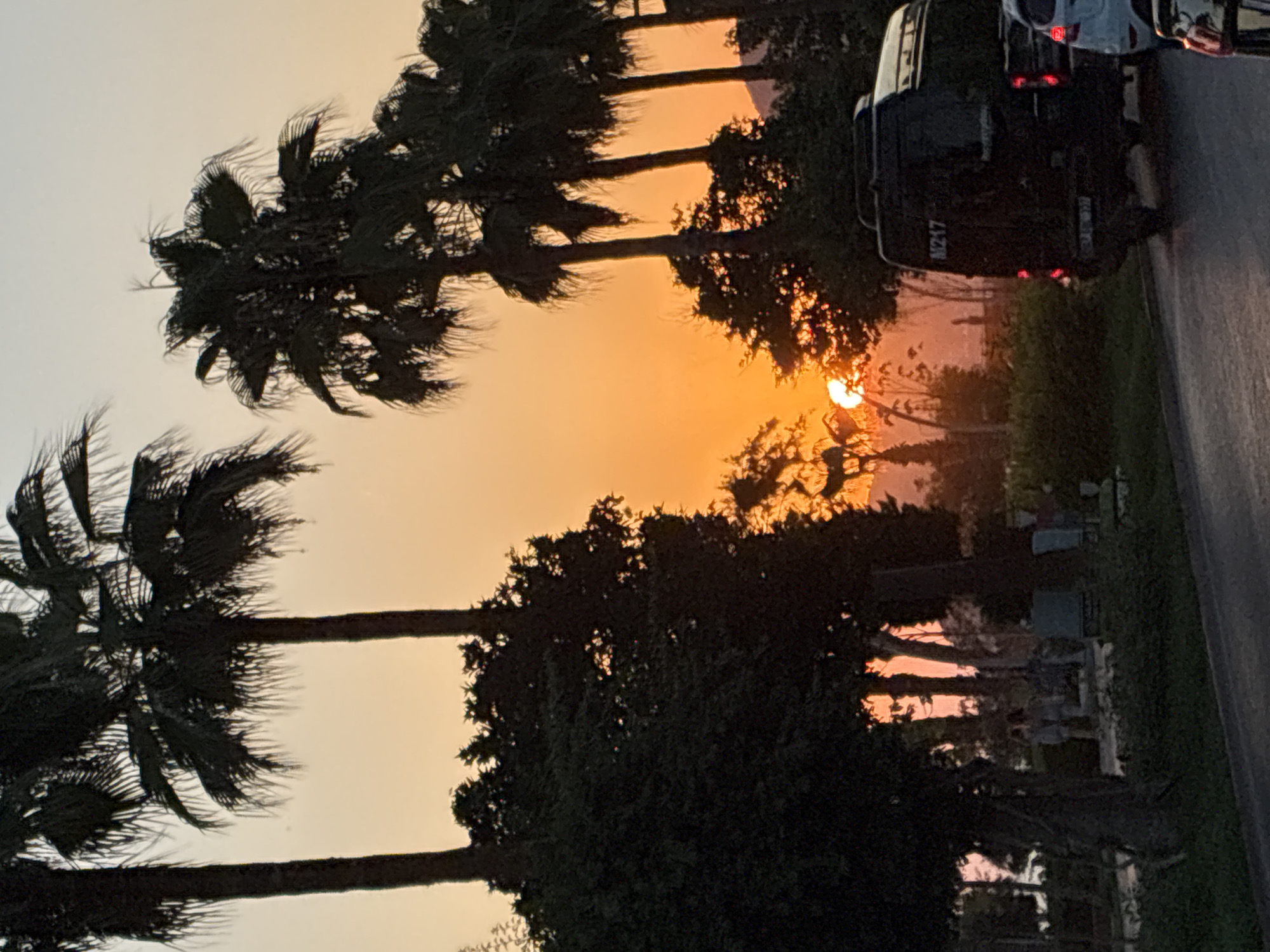 The image depicts a street scene in Alanya, Turkey, during sunset. The sky is a vibrant orange and yellow, characteristic of a sunset, with the sun partially visible behind silhouetted palm trees and foliage. Several palm trees are prominent in the foreground and mid-ground, their fronds dark against the bright sky. Dense, dark green foliage from trees and bushes is also visible.
In the mid-ground, a black van with the license plate "M217" is parked on the right side of the road. To its right, part of a white car and a portion of another vehicle are visible, suggesting traffic on the road. The road itself appears paved and is dark due to the low light conditions.
In the background, several figures, appearing to be people, are standing in a park-like area with some structures that could be benches or monuments. The lighting makes it difficult to discern precise details about the people or the structures. The overall atmosphere is tranquil, with the sunset creating a warm glow. The presence of palm trees and the general vegetation suggests a Mediterranean or subtropical climate, consistent with Alanya, Turkey.
