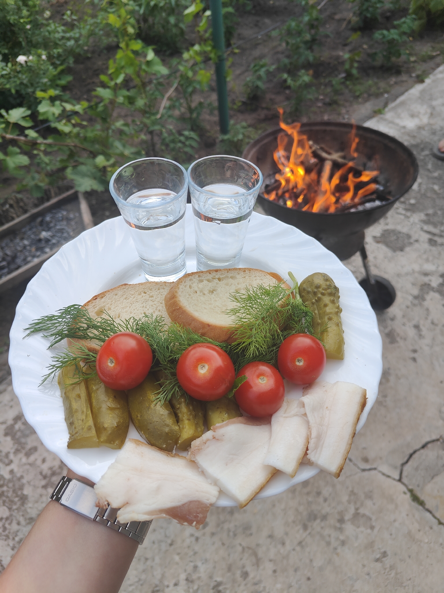 This image depicts a plate of food and two glasses of clear liquid, likely vodka, placed on a white plate. The food includes sliced bread, cherry tomatoes, dill sprigs, pickles, and slices of pork fat. In the background, a barbecue grill with a visible fire is present, suggesting an outdoor setting. The ground appears to be concrete with some cracks. The presence of greenery in the background suggests a garden or park area. A person's arm with a silver wristwatch is visible in the lower left corner, holding the plate. The image is taken from a slightly elevated perspective. The overall scene suggests a casual outdoor meal or gathering. The prompt asks for the location in Kryvyi Rih, Ukraine. However, there are no specific visual cues in the image to confirm this location. The image does not contain any identifiable landmarks or symbols that are uniquely associated with Kryvyi Rih, Ukraine.