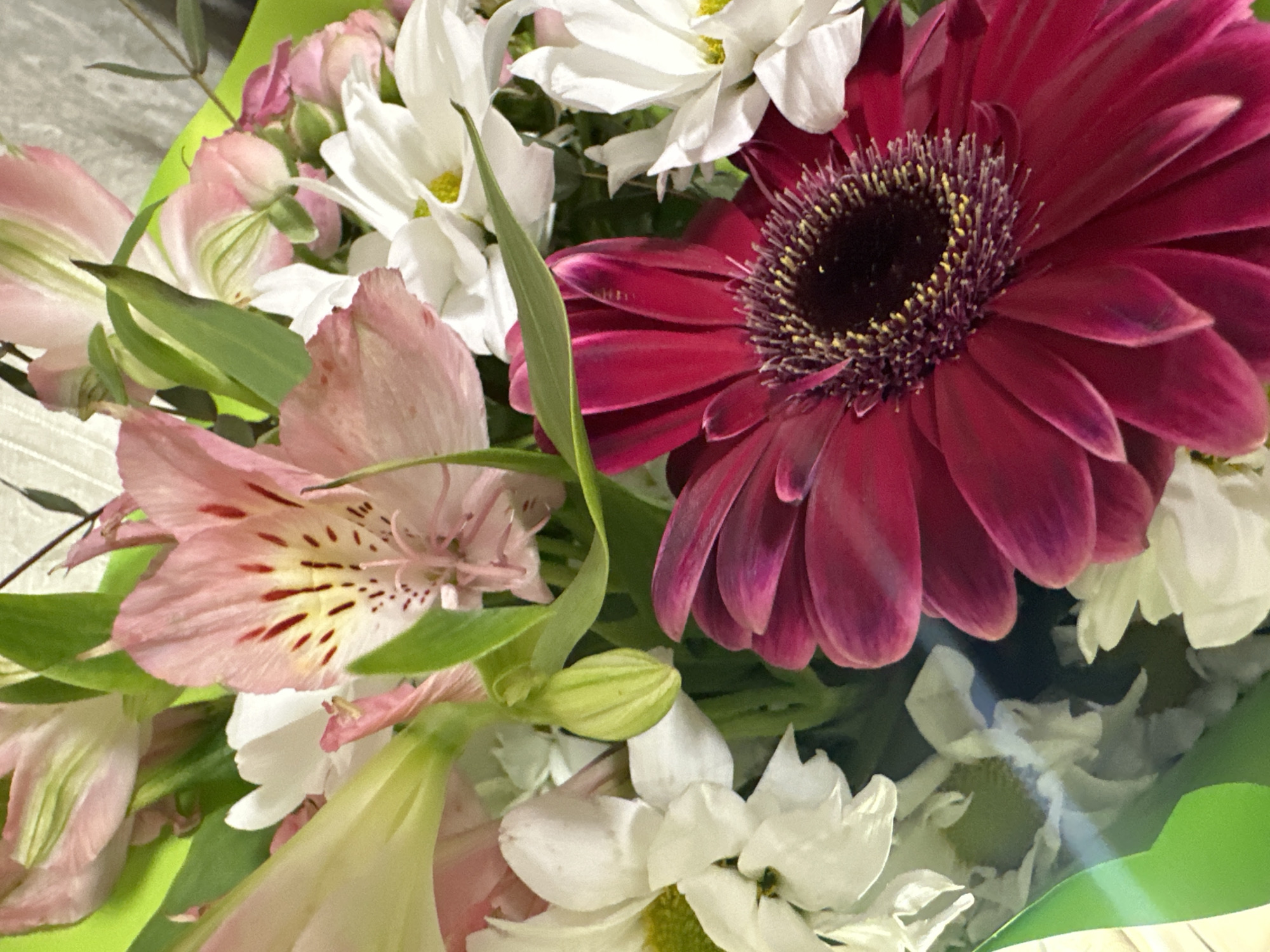 The image depicts a close-up view of a bouquet of flowers. The bouquet contains a large, dark pink gerbera daisy with a dark brown center. There are also pink alstroemeria flowers with reddish-brown markings and several white daisies with yellow centers. Green foliage is interspersed throughout the bouquet. The bouquet is wrapped in light green paper. The location details cannot be determined from the image.
