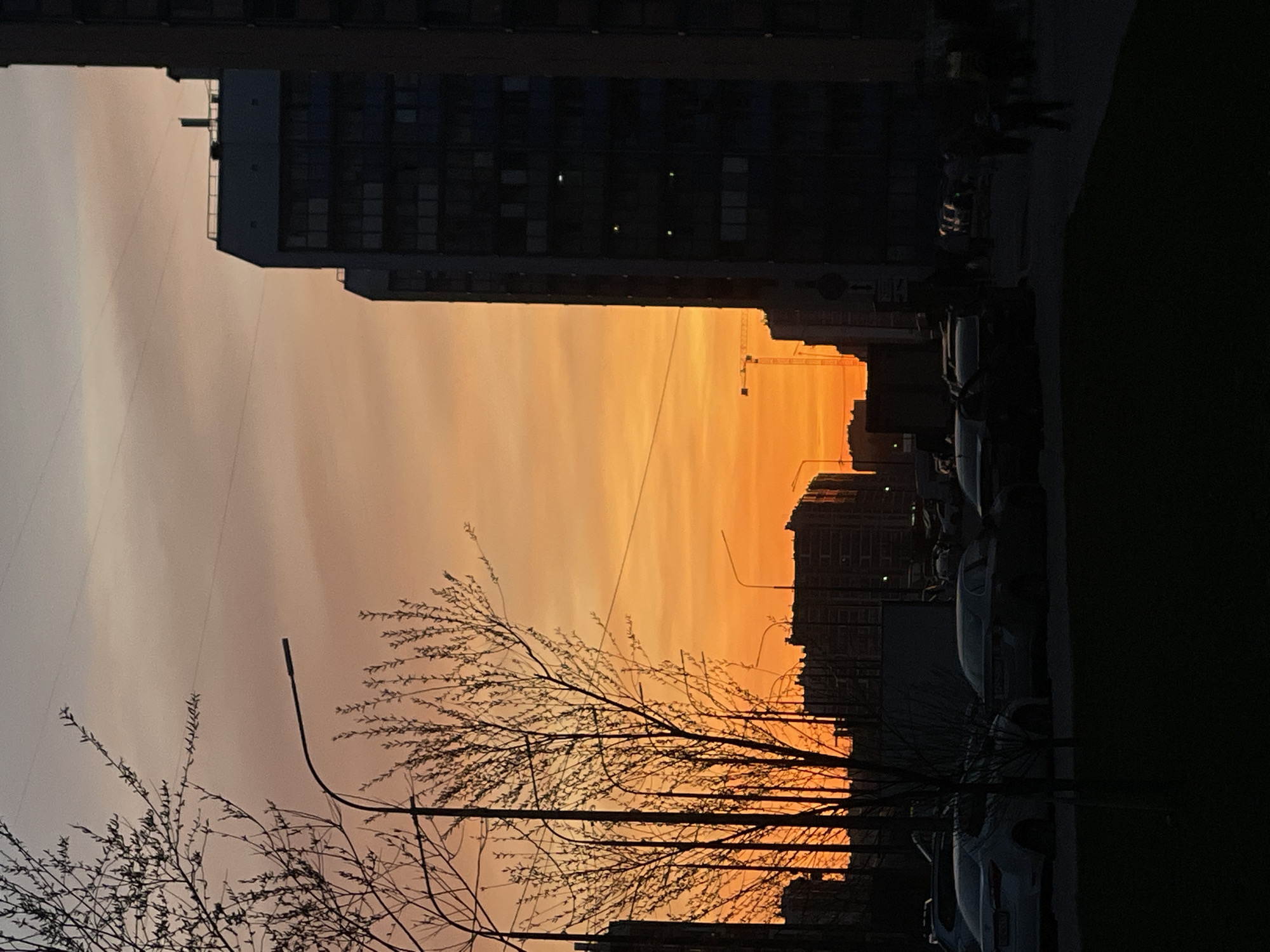 The image captures an urban scene in Murino, Russia, at either sunrise or sunset, dominated by a dramatically colored sky. The perspective looks out over a city street framed by buildings. The sky transitions from a pale, muted orange and grey at the upper left to a vibrant, intense orange and amber towards the lower right, exhibiting subtle cloud formations or atmospheric haze.
Silhouetted against this bright backdrop are various elements of an urban environment. On the right, tall, multi-story residential buildings stand dark and stark, with a few illuminated windows providing small points of light. A construction crane is also visible in silhouette against the brightest part of the sky, indicating ongoing development.
In the bottom left foreground, the bare, intricate branches of a deciduous tree are silhouetted, alongside a streetlight pole with a curved arm extending upwards. Below the buildings, a street is visible with the dark shapes of parked cars. A few small, indistinct human figures can be seen walking on a sidewalk, suggesting everyday urban activity.
The scene is characterized by a strong contrast between the warm, glowing sky and the cool, dark silhouettes of the city structures and sparse vegetation, creating a serene yet striking visual. No legible text is visible, although a small directional arrow sign can be faintly discerned on the right.