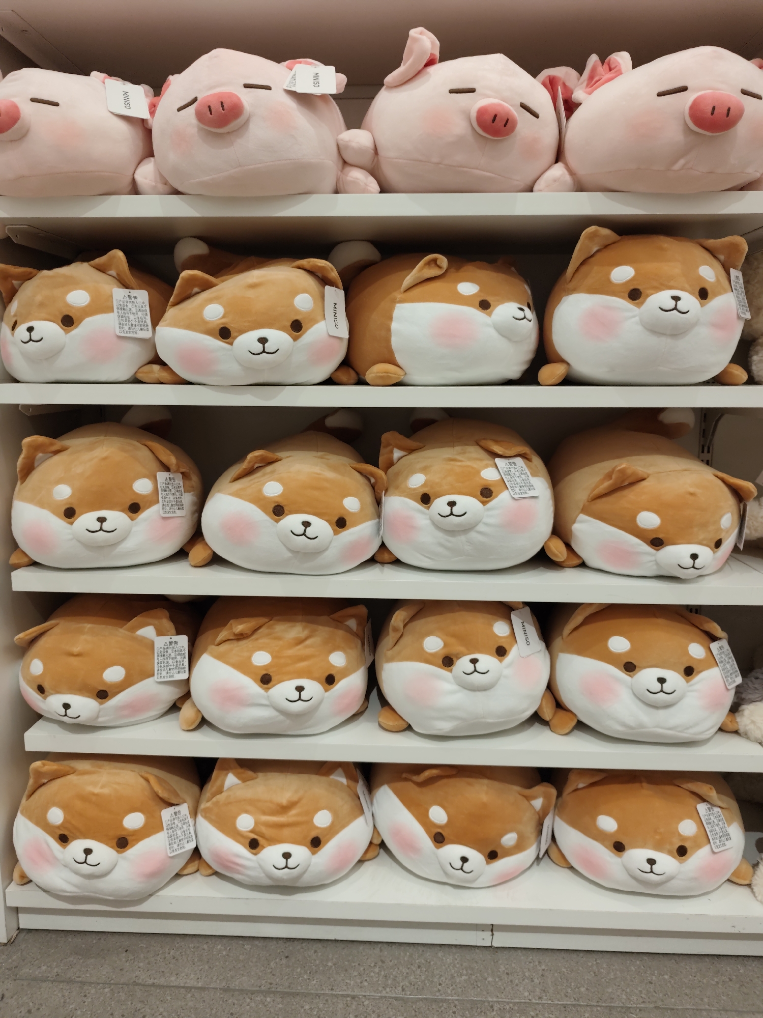 The image shows a retail display shelf filled with plush toys in Daqing, China. The top shelf features three pink pig plush toys with closed eyes and rosy cheeks. The second shelf displays five Shiba Inu dog plush toys, characterized by their brown and white fur, round faces, and blushing cheeks. The third shelf also contains five Shiba Inu plush toys, similar in appearance to those on the second shelf. The bottom shelf shows four Shiba Inu plush toys, also resembling the ones above. The toys are arranged in rows on white shelves, with a white wall visible behind the top shelf. The overall impression is a neatly organized display of stuffed animals in a commercial setting.