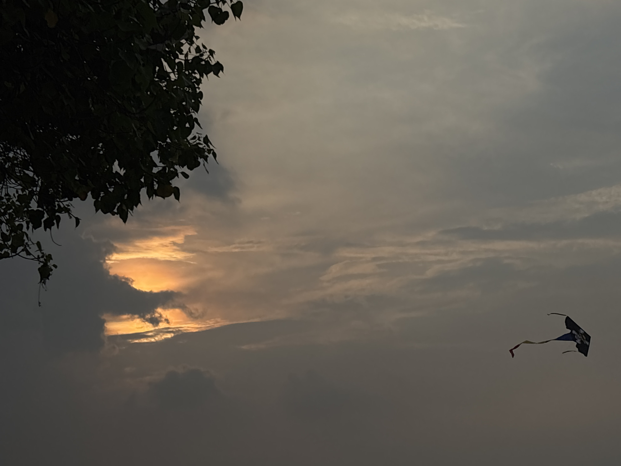 The image shows a kite flying in the sky at dusk or dawn. The sky is filled with clouds, with a sliver of orange light peeking through. A tree with dense foliage is in the upper left corner. Based on the presence of kites in the sky and the types of foliage found on a tree, the location of the picture is North Jakarta, Indonesia. No people are visible.