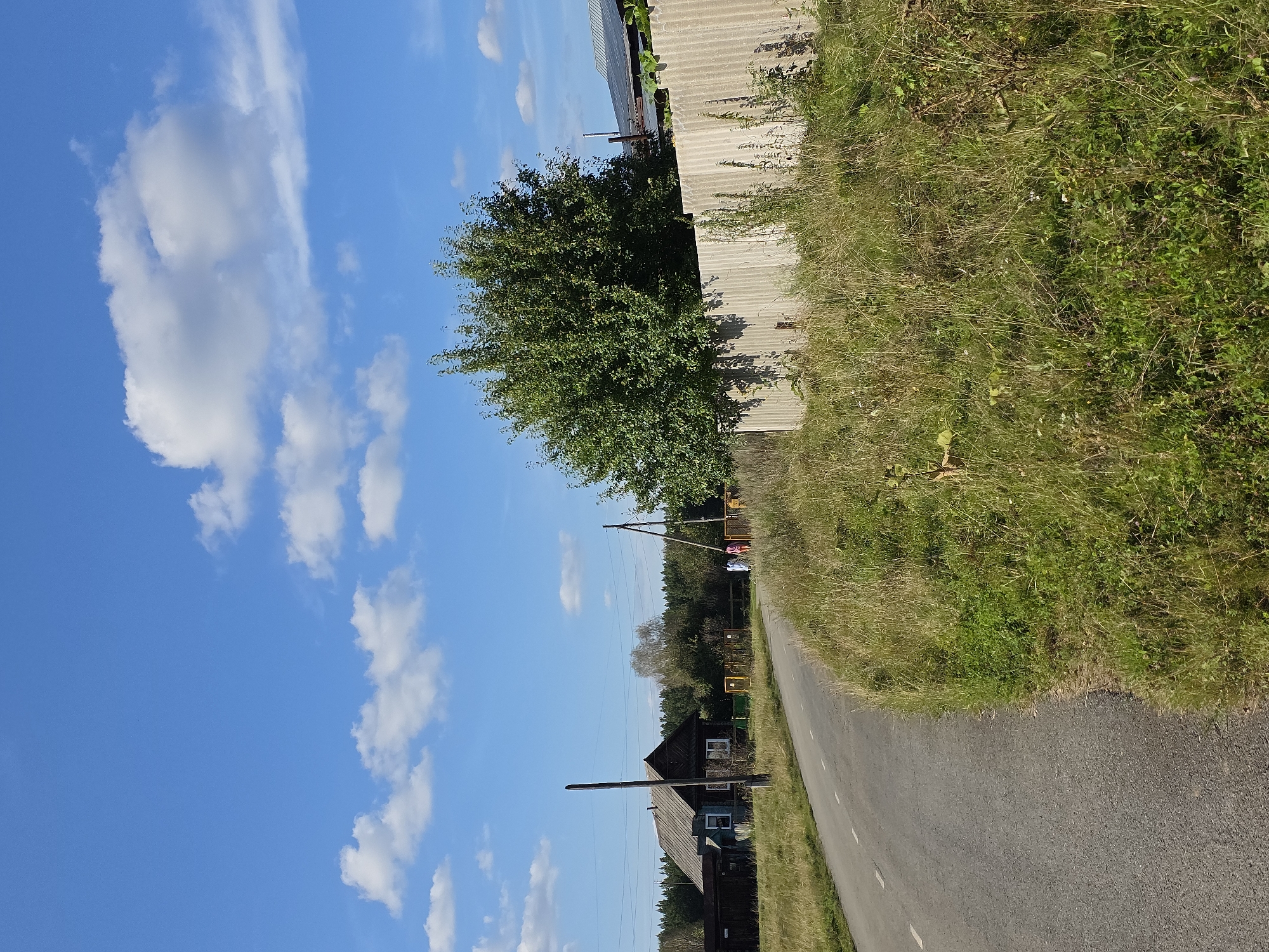 In a rural scene, a paved road curves to the left through a grassy area. On the left side of the road, a weathered wooden house with a dark roof stands adjacent to a utility pole. Further down the road, several people are visible near a yellow fence. To the right of the road, a corrugated metal fence runs horizontally, partially obscured by a large, leafy green tree and tall, dry grass. In the background, a dense forest stretches across the horizon under a bright blue sky dotted with white clouds. The overall setting suggests a sunny day in a village.