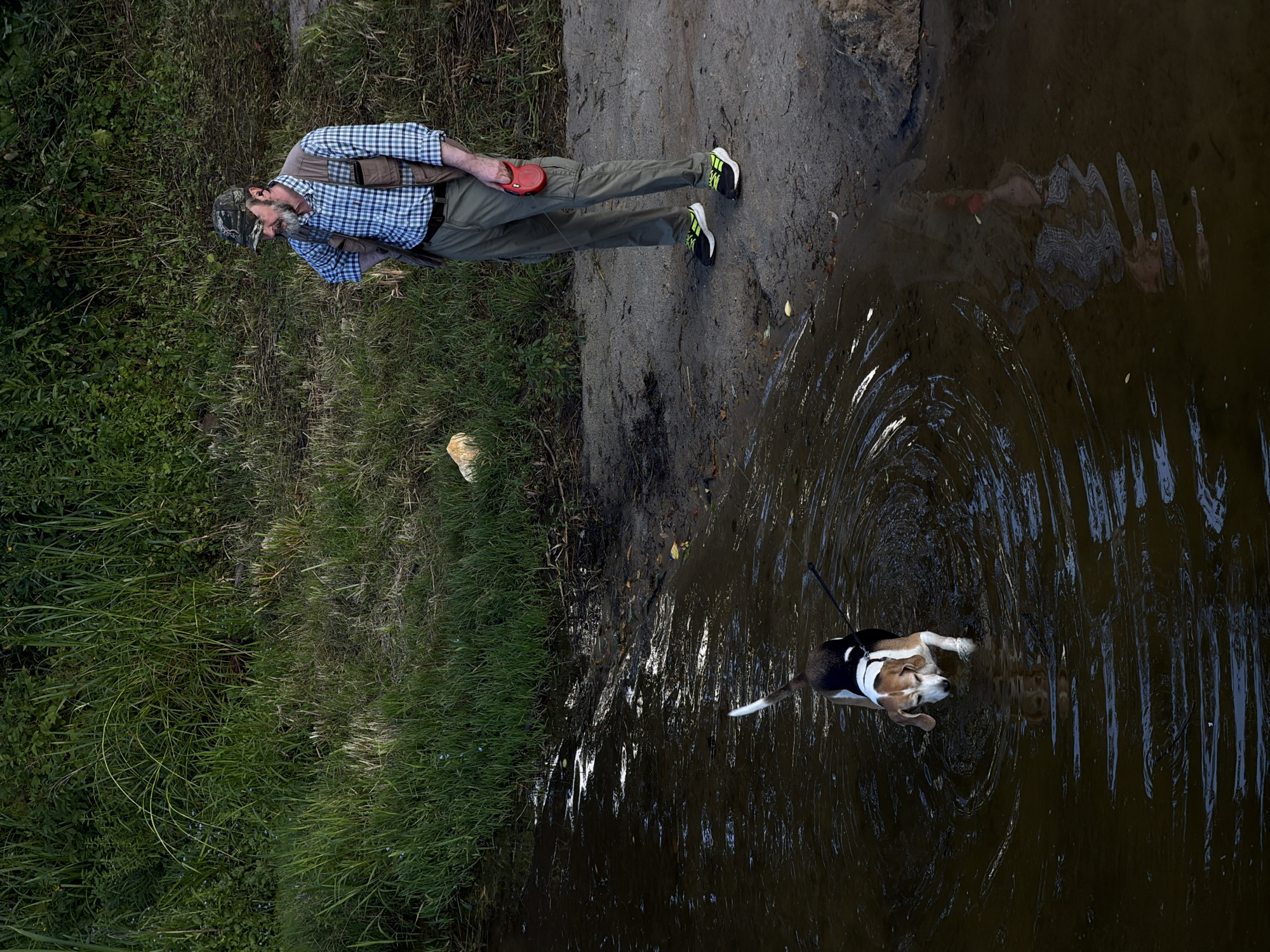 An adult male, appearing to be in his 50s or 60s, with a beard, stands on a sandy bank next to a body of dark, murky water. He is wearing a camouflage baseball cap, a blue and white checkered shirt, a light brown vest, and olive green cargo pants. He holds a red retractable dog leash in his right hand. A beagle dog, tri-colored with white, brown, and black markings, is wading in the water, facing away from the man. The dog is on a leash. The background consists of dense green vegetation, including tall grasses and bushes, typical of a natural embankment. The scene suggests a leisurely outing in a park or natural area, possibly along a river or lake within Malakhovka, Russia.