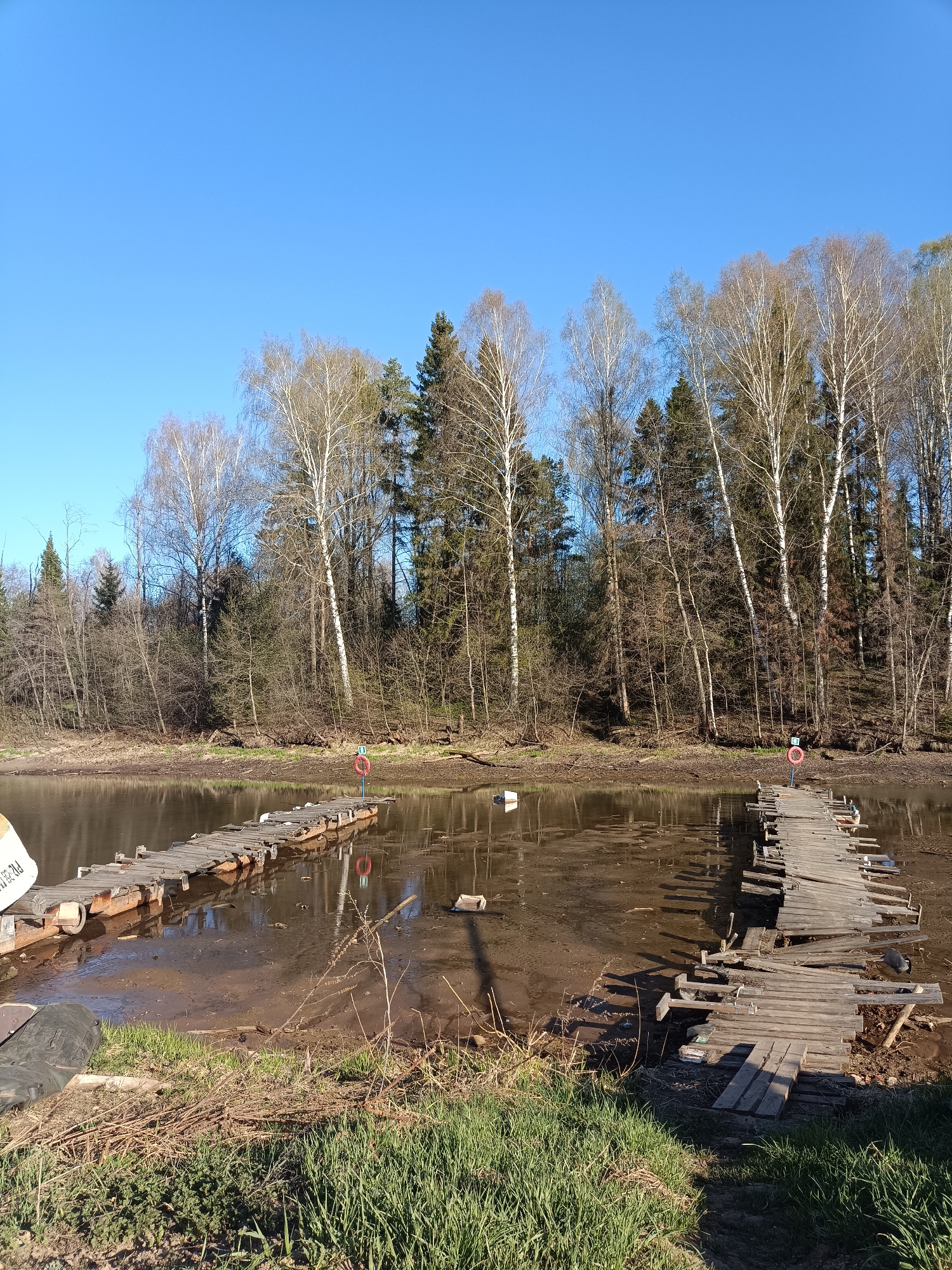 The image depicts a stagnant body of water with two dilapidated wooden docks extending into it. The water is brown and murky, with exposed muddy banks visible along the edges. Debris floats in the water. The docks are in disrepair, with missing planks and uneven surfaces. A life preserver is attached to one of the docks. Beyond the water, a forest with birch and pine trees forms the background. The sky is clear and blue. The scene is located in the city of Chaikovsky, Russia.