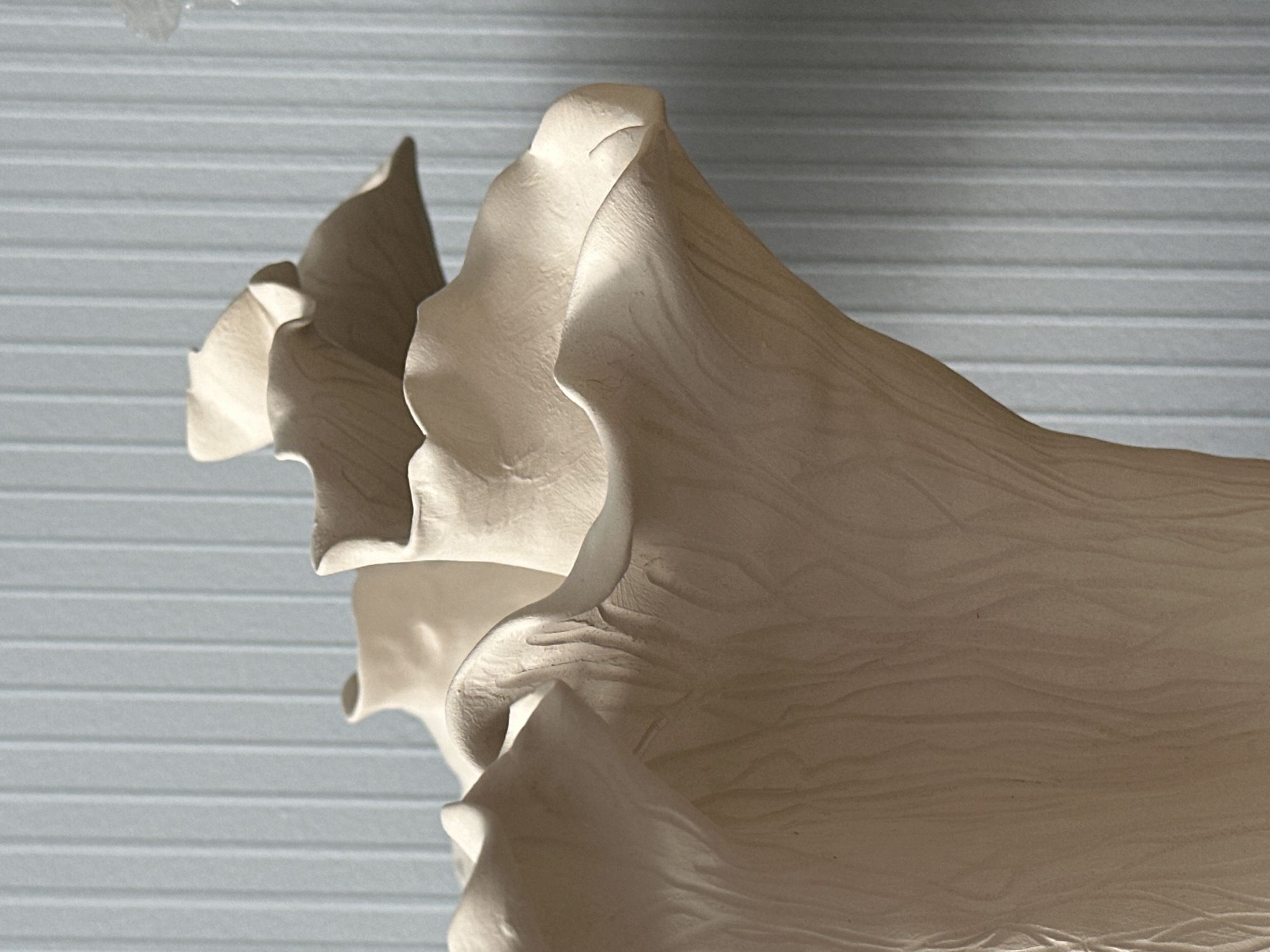 This is a close-up, eye-level, medium shot of a textured, unglazed ceramic sculpture. The sculpture is light beige and has a fluted, organic shape resembling a flower or mushroom. It is positioned in front of a vertically striped, pale blue background. The lighting creates shadows that highlight the textured surface of the ceramic, emphasizing the vertical striations and wavy edges. The object is the sole focus of the image, with no other objects or people visible. The environment appears to be an indoor setting, possibly a studio or gallery, given the controlled lighting and clean background. There is no indication of the city of Nevinnomyssk, Russia, within the image itself.