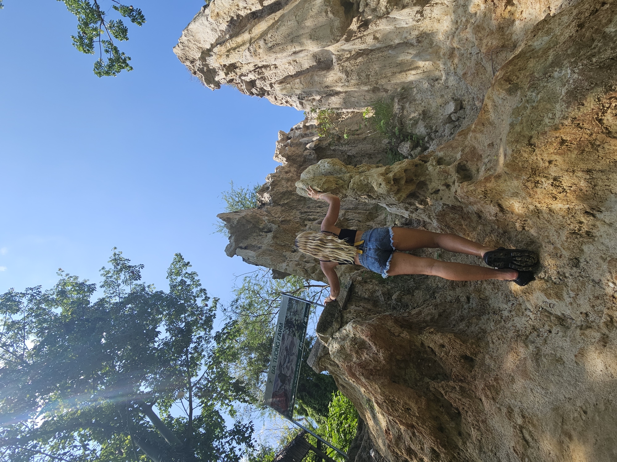 A young woman with blonde hair is rock climbing on a rocky outcrop. She is wearing a black tank top and denim shorts. The sun is shining brightly, indicating it is daytime. The sky is clear and blue. Trees with lush green leaves are visible in the background, suggesting a natural, outdoor environment. The rock face is rugged and uneven, with various textures and colors, indicating it's a natural rock formation. A banner hangs below the woman, displaying text related to "BA TUONG FARM" and images of grapes, suggesting the location is a farm or a place associated with agriculture. The overall scene suggests an adventurous and pleasant day spent outdoors.