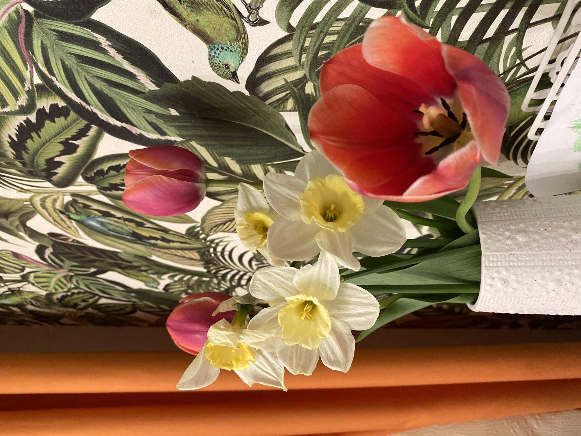 A still life arrangement of flowers sits atop a surface. The arrangement includes a vibrant red and purple tulip, several white daffodils with yellow centers, and pink tulips. The flowers are contained in a white holder, which appears to be made from paper. The surface is covered with an orange sheet. In the background, wallpaper with a tropical leaf and bird pattern is visible. There is no indication of the location being Votkinsk, Russia.