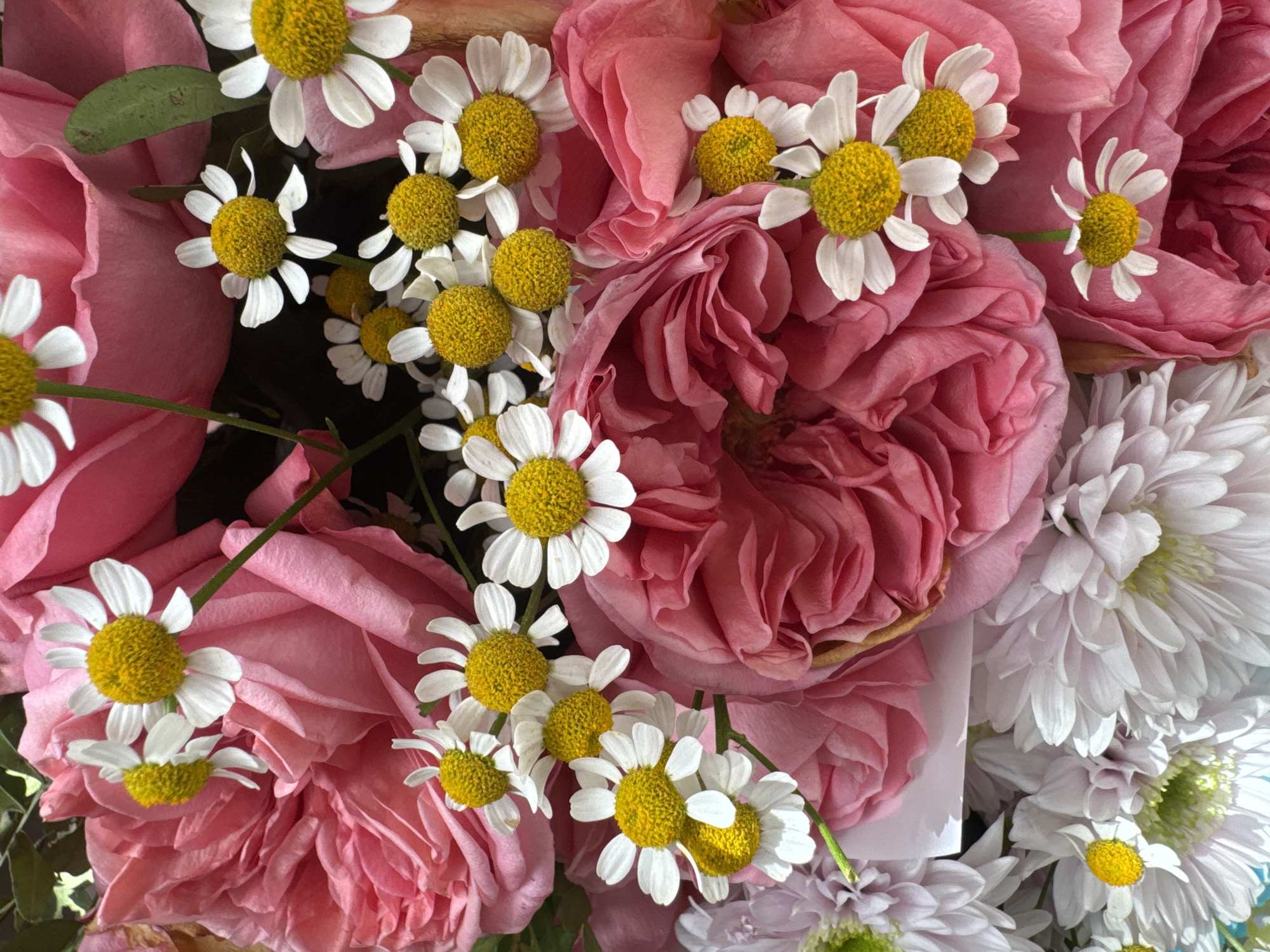 A close-up, overhead shot displays a vibrant bouquet of pink roses and white daisies. The roses are a deep pink, with many petals, and appear to be in full bloom. The daisies are smaller, with white petals and yellow centers, and are scattered amongst the roses. Some of the daisies are in focus, while others are blurred, giving the image a sense of depth. The background is dark and out of focus, which further highlights the flowers. The lighting is soft and natural, suggesting that the photo was taken during the day. There is no discernible location in the city of Vtoraya Pad', Russia, in this image as it is a still life of flowers.