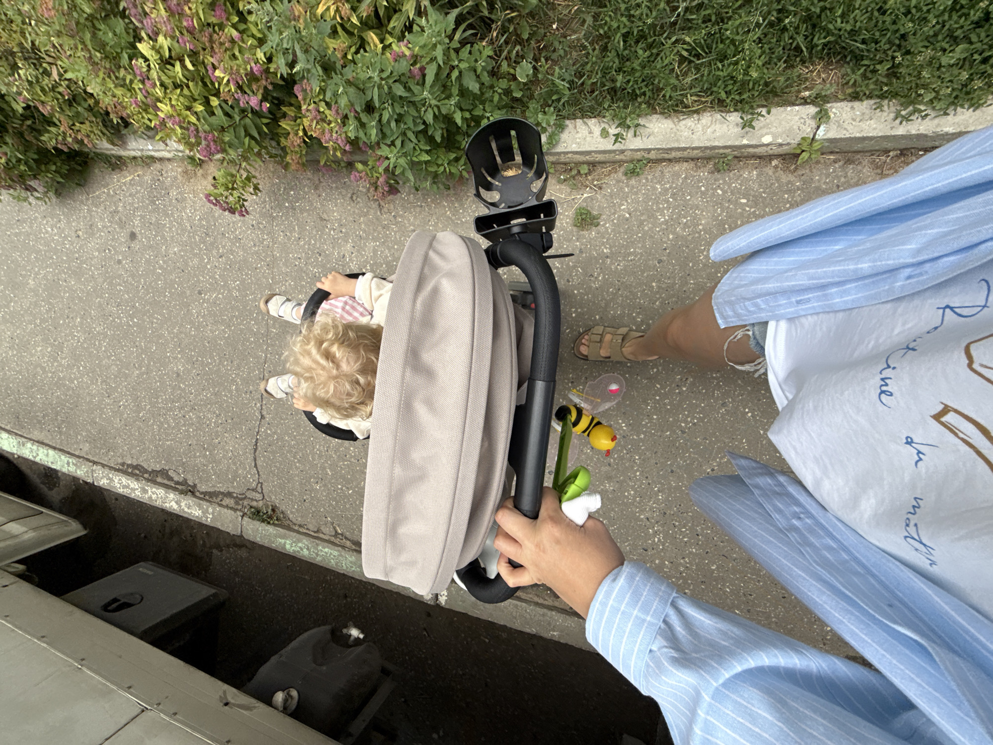 This is an overhead shot of a person pushing a stroller with a young child in it. The child has blond curly hair and is wearing a striped shirt. The stroller is beige and has a black frame. The person pushing the stroller is wearing a light blue striped shirt and denim shorts. They are holding onto the stroller handle with their right hand.
The scene appears to be outdoors, possibly on a sidewalk or paved path. To the left of the path, there is a lush green bush with small pink flowers. To the right of the path, there is more green grass and a concrete curb. In the background, there are some dark, industrial-looking structures. The lighting suggests it is daytime, possibly late afternoon, with diffused light. The overall mood seems casual and everyday.
There is some text visible on a white garment in the foreground, partially obscured by the stroller. It appears to be handwritten or script-style lettering, possibly in French, but it's too fragmented to decipher clearly. A yellow toy bee with black stripes is attached to the stroller handle.