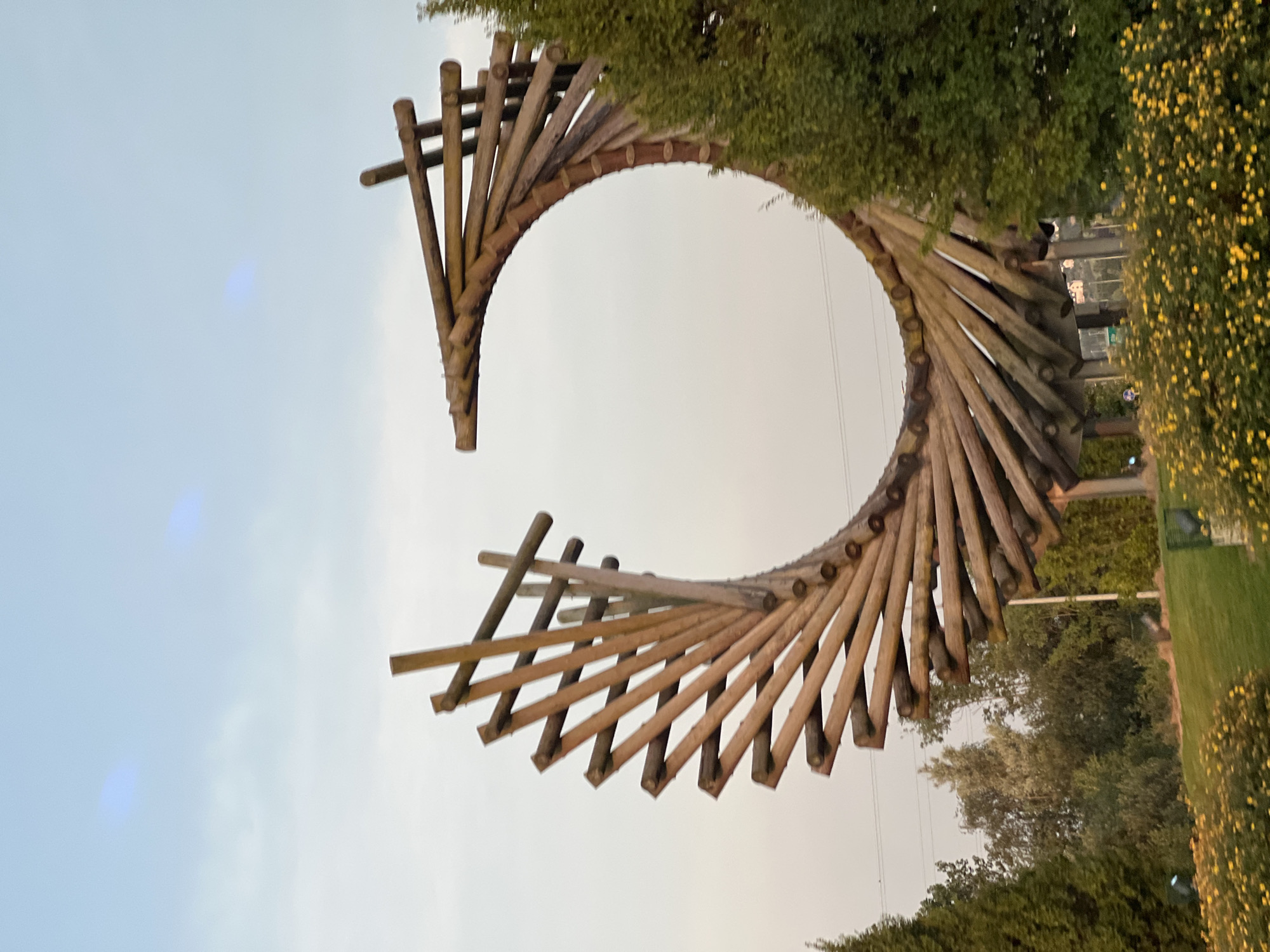 The image shows a large, circular wooden sculpture composed of many individual pieces of wood arranged in a spiral pattern. The sculpture is located outdoors, with a cloudy sky in the background. To the right of the sculpture is a large evergreen tree, and in the foreground, there are a patch of green grass and yellow flowers. The sculpture is positioned in a park-like setting, with more trees visible in the background. The sculpture is a prominent feature of the landscape. This sculpture is located at the entrance to Letterkenny, County Donegal, Ireland.