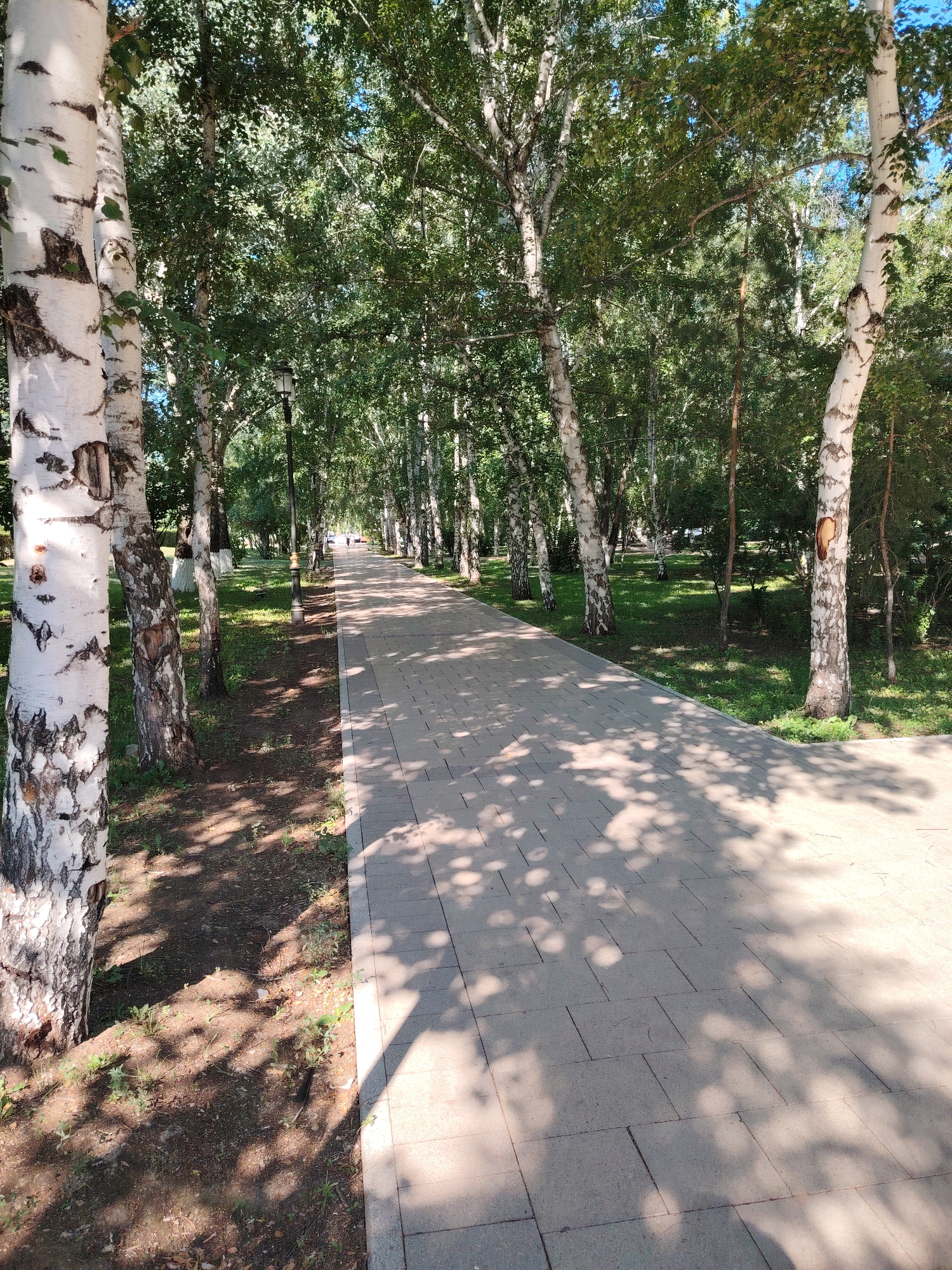 A paved pathway winds through a park lined with birch trees on a sunny day. The pathway, made of light-colored rectangular pavers, is partially shaded by the dappled sunlight filtering through the leaves of the trees. To the left of the path, the ground is covered with grass, dirt, and fallen leaves, with the distinctive white bark of birch trees prominently featured. On the right side of the path, more trees and greenery create a dense canopy. In the distance, a few blurred figures can be seen walking along the path. A lamppost is visible on the left side of the path. The overall scene depicts a serene park environment, likely in the city of Astana, Kazakhstan, given the characteristic birch trees often found in its parks and green spaces.