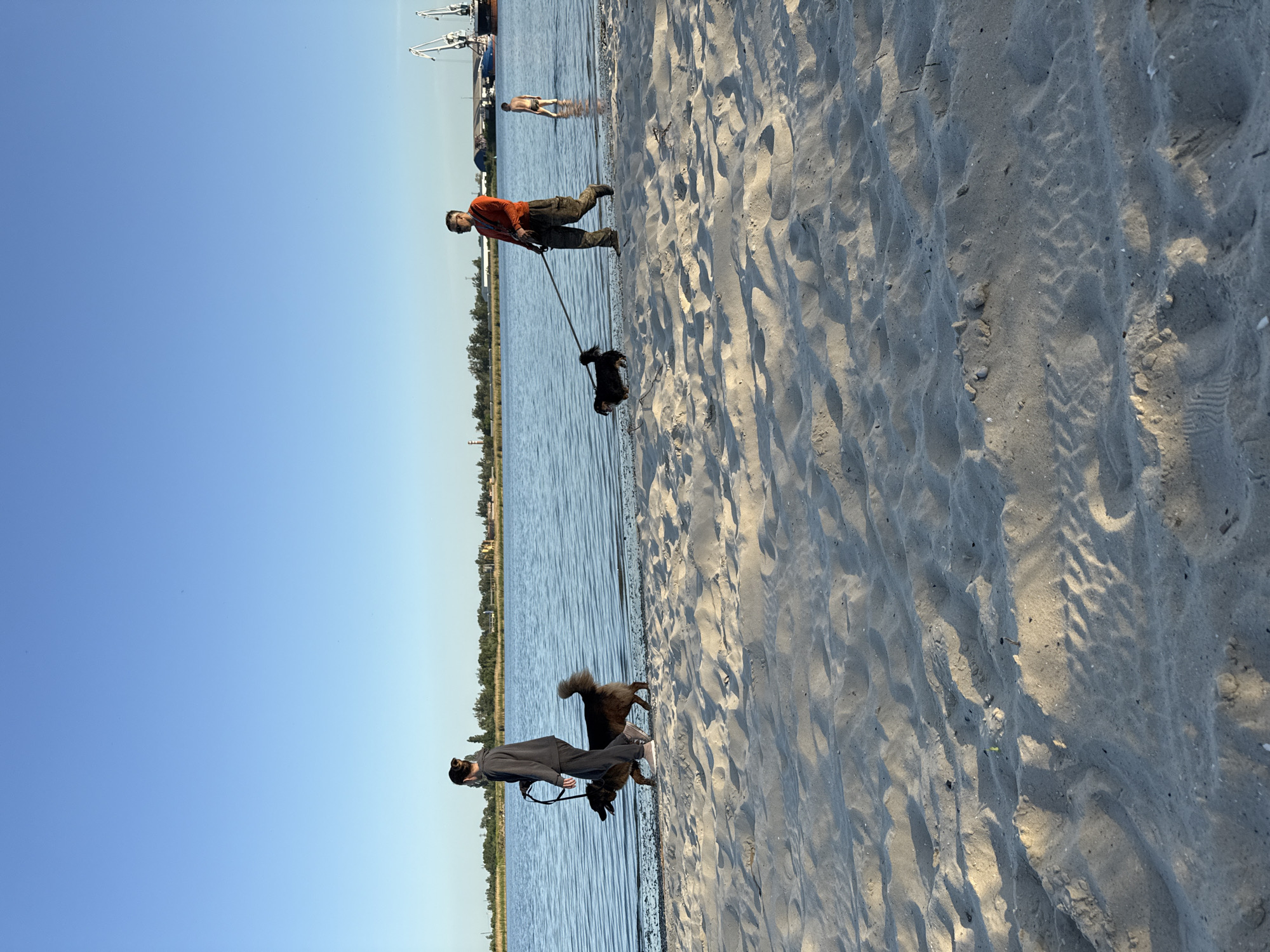 The image depicts a scene on a beach near the city of Rostov-on-Don, Russia. The beach is sandy, with visible footprints and patterns in the sand. The water borders the beach, and the sky is a clear blue. Two individuals are present, each walking a dog on a leash. One person is wearing an orange shirt and darker pants, while the other is wearing a gray outfit. They are walking along the water's edge. In the background, there are structures that appear to be industrial, possibly cranes, and another person is standing in the water further out. Vegetation is visible along the shoreline.