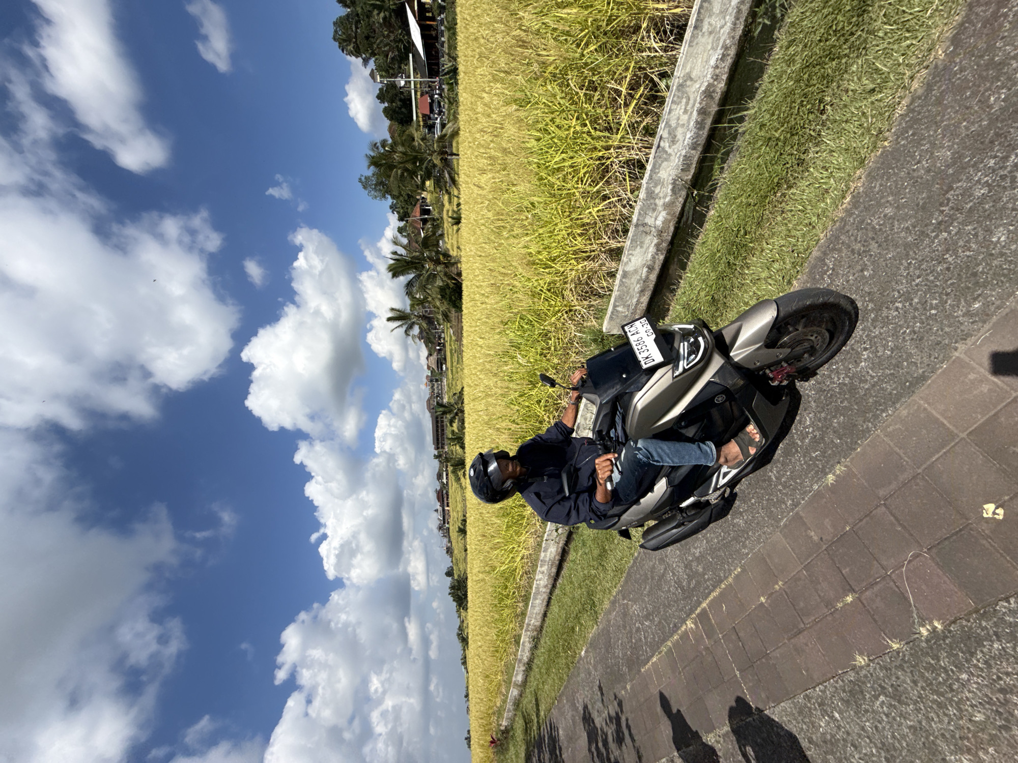 In Penebel, Indonesia, a person wearing a dark blue jacket, blue jeans, and a black helmet rides a gray scooter down a paved path. The path is bordered by a brick walkway on the left and a grassy embankment on the right, which slopes down to a narrow irrigation ditch. Beyond the embankment lies a vast field of golden-yellow rice paddies, stretching towards a distant treeline dotted with houses and palm trees. The sky above is a vibrant blue, adorned with scattered white cumulus clouds. The scooter's license plate reads "DK 3586 ACM 09-26". The scene is bathed in bright sunlight, casting shadows on the path and walkway.