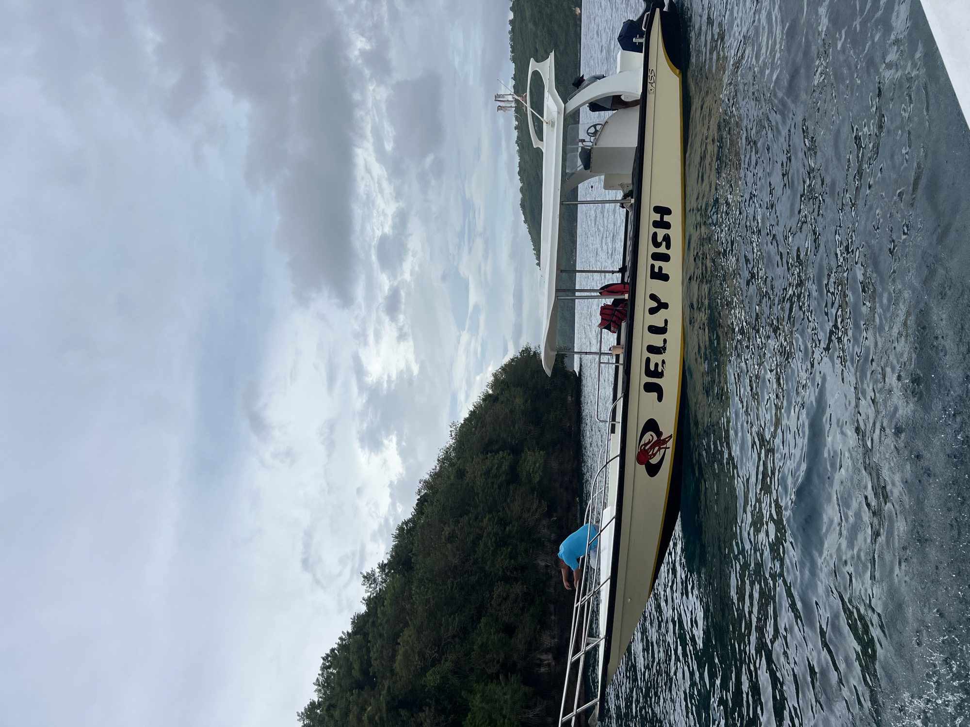 A white boat named "JELLY FISH" is prominently featured, situated in dark blue-green water next to a lush, forested landmass. The image is oriented vertically, depicting the scene as if viewed from another boat or shore. The sky above is overcast with a mix of light and dark grey clouds.
The boat is a modern, open-sided vessel with a white hull, a white canopy structure, and silver railings. The name "JELLY FISH" is written in large, bold black letters on the side of the boat, accompanied by a red and black logo resembling an octopus or similar marine creature. Visible inside the boat are orange life vests and several individuals, though their faces are not clearly discernible. One person, wearing a blue shirt, is seen leaning over the side of the boat towards the water, near the front. Partially visible text, "SS", can be seen on the hull near the stern.
The water around the boat shows ripples and reflections of the cloudy sky. The landmass, densely covered in green trees, forms a hilly backdrop, suggesting an island or coastline. The overall atmosphere is tranquil under the cloudy daylight, likely indicating an excursion in a scenic marine environment. This scene is set in Nusa Penida, Indonesia.