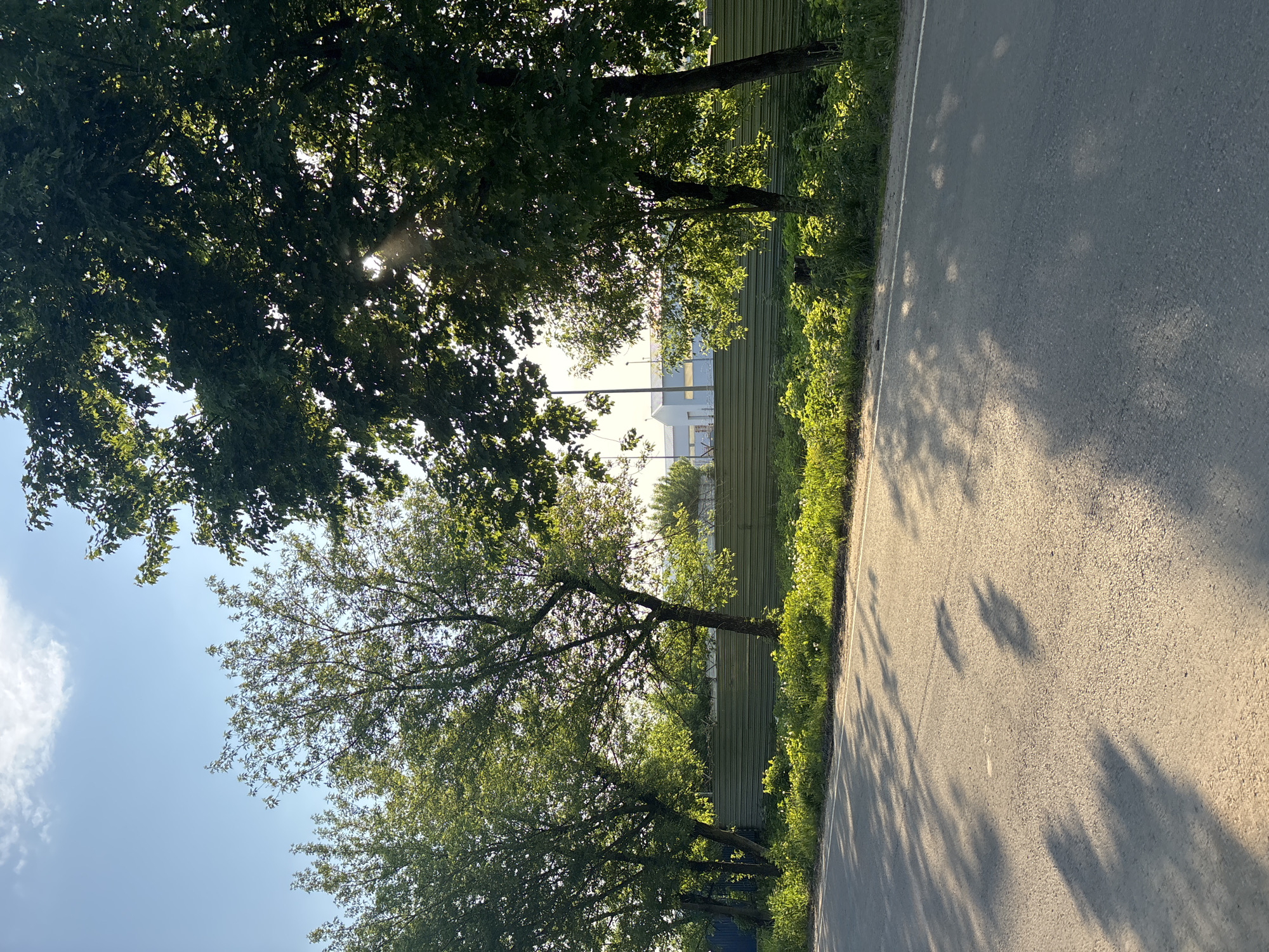 The image shows a view along a road in Посёлок комбината стройматериалов-2, Russia. The road, paved with asphalt, occupies the right half of the frame. Along the left edge of the road, there is a strip of grassy vegetation. To the left of the grass, there is a line of trees casting shadows onto the road. Behind the trees is a wooden fence. Glimpses of white buildings are visible beyond the fence and between the trees. The sky is pale blue, with sunlight filtering through the tree canopy in the top left corner.