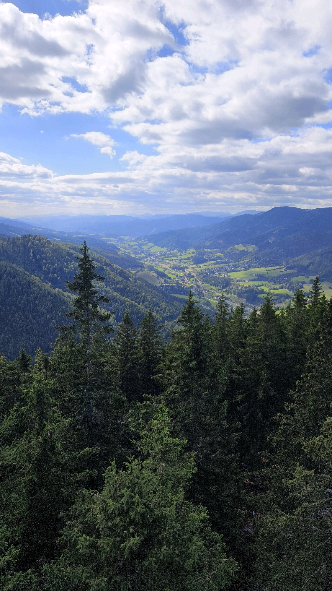 A scenic view of a valley in Semmering, Austria, is captured from a high vantage point. The foreground is dominated by a dense forest of dark green evergreen trees, with the branches of several prominent pine trees extending into the lower part of the frame. Beyond the forest, the valley unfolds, revealing a patchwork of green fields and scattered buildings that form a small village. A road or highway runs through the valley, winding its way between the fields and the village. In the distance, a series of rolling hills and mountains, varying in shades of blue and green, recede into the horizon, suggesting a vast, mountainous landscape. The sky above is a bright blue, dotted with fluffy white clouds, some of which are tinged with grey, indicating a partly cloudy day. The lighting suggests it is daytime, with soft sunlight illuminating the scene. There are no people or animals visible in the image.