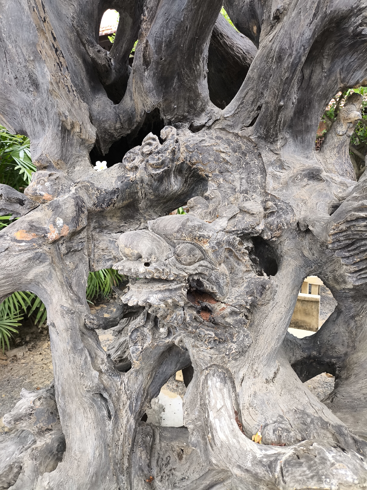 The image is a close-up, eye-level, medium shot of a large, weathered, dark grey wooden sculpture. The sculpture appears to be carved or naturally formed into an intricate, somewhat abstract representation, with a prominent focus on a grotesque, dragon-like head with bulging eyes and sharp features in the center. The wood has a rough, textured surface with visible grain and cracks, and some areas show reddish-brown discoloration, possibly from oxidation or embedded material. There are several openings and voids within the sculpture, revealing glimpses of green foliage and a blurred background that suggests an outdoor environment, possibly a garden or courtyard. The lighting is natural and diffused, casting subtle shadows that accentuate the sculpture's three-dimensional form. The sculpture is situated outdoors, likely in a public space in Nha Trang, Vietnam, possibly a garden, park, or temple grounds, given the typical presence of such decorative elements in Vietnamese culture. There are no people or animals visible in the frame.