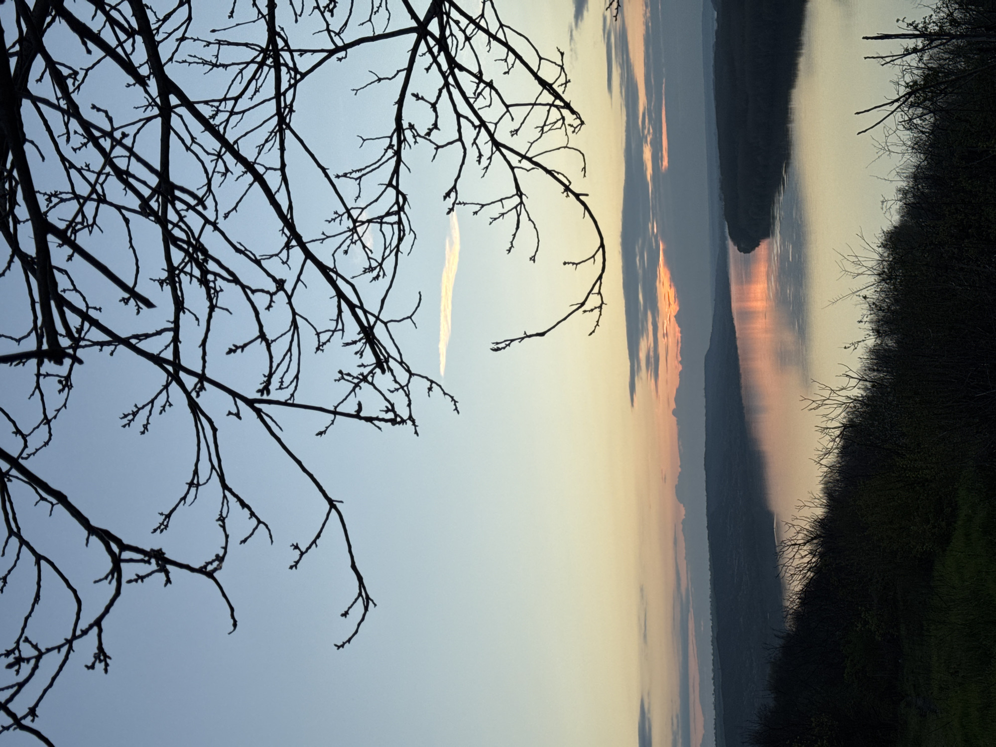 The image depicts a landscape with a body of water, likely the Danube River, at sunset or sunrise, and branches of a tree in the foreground. The sky is transitioning from a pale blue to hues of orange and pink near the horizon. Clouds are visible on the left side. The silhouette of trees and vegetation are seen on the right. The location might be near Kozloduy, Bulgaria, as it lies on the Danube River.